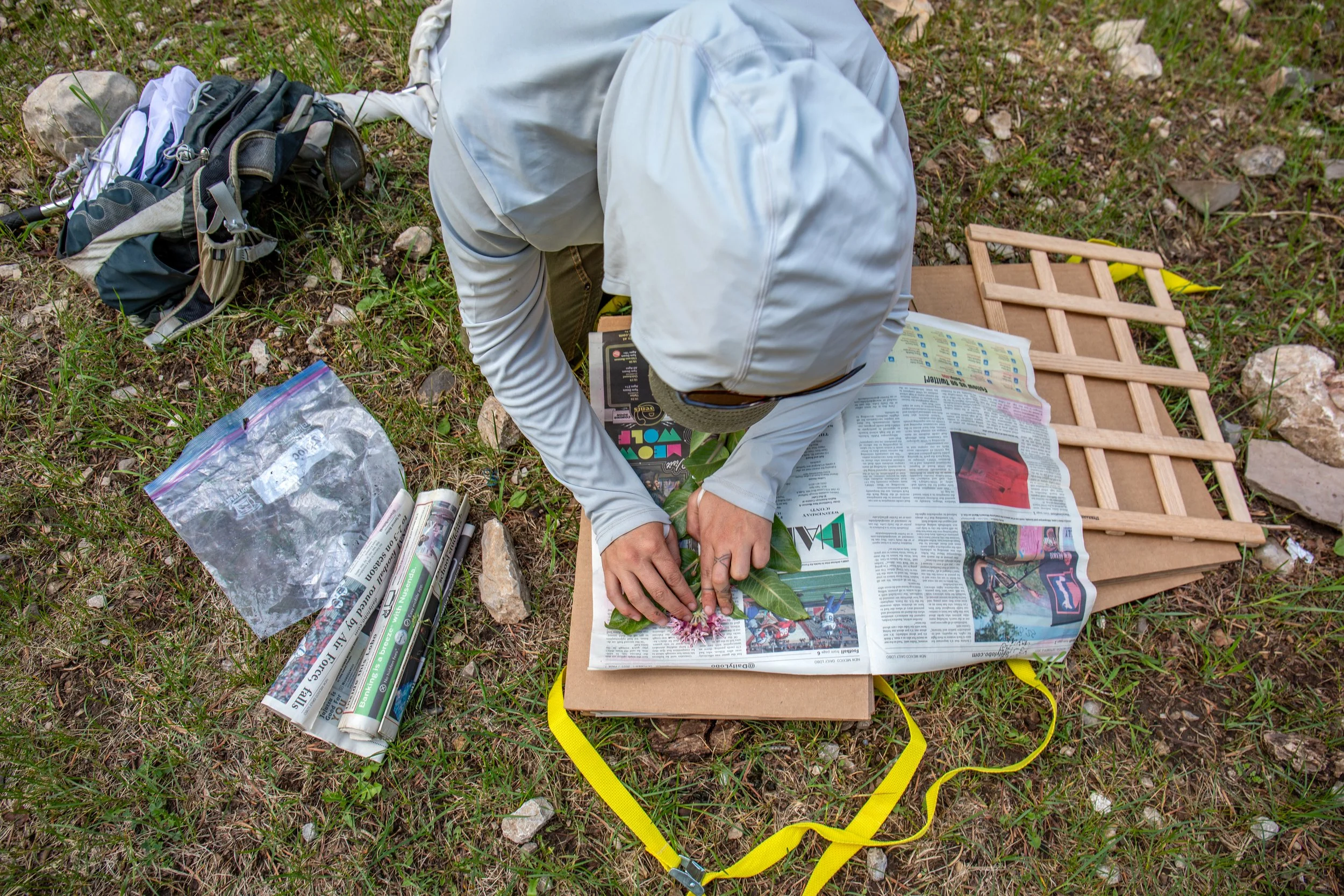 Sacramento Mountains Checkerspot Butterfly__Diana Cervantes 1359.JPG