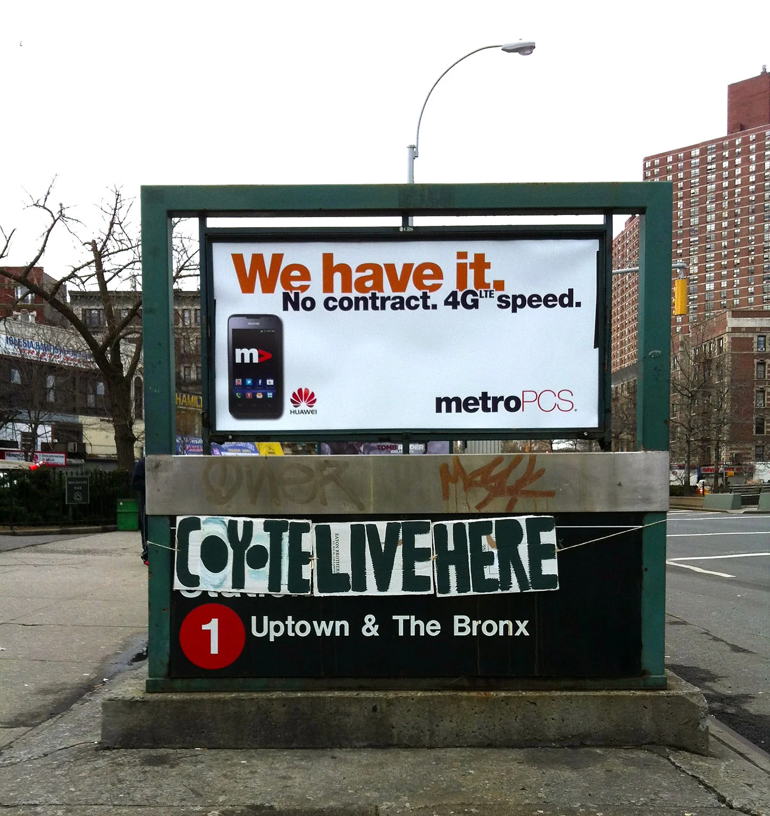 ny coyote sign website.jpg
