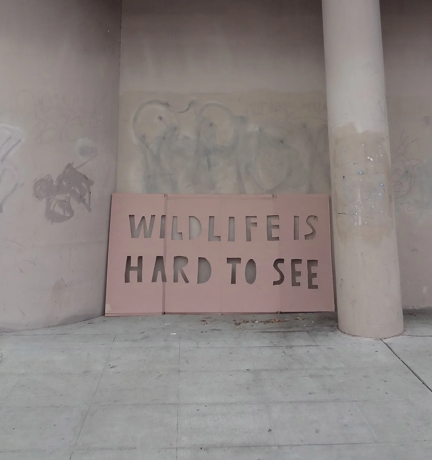 hard to see cropped.jpg
