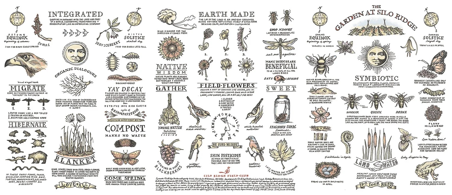 sr harvest website.jpg