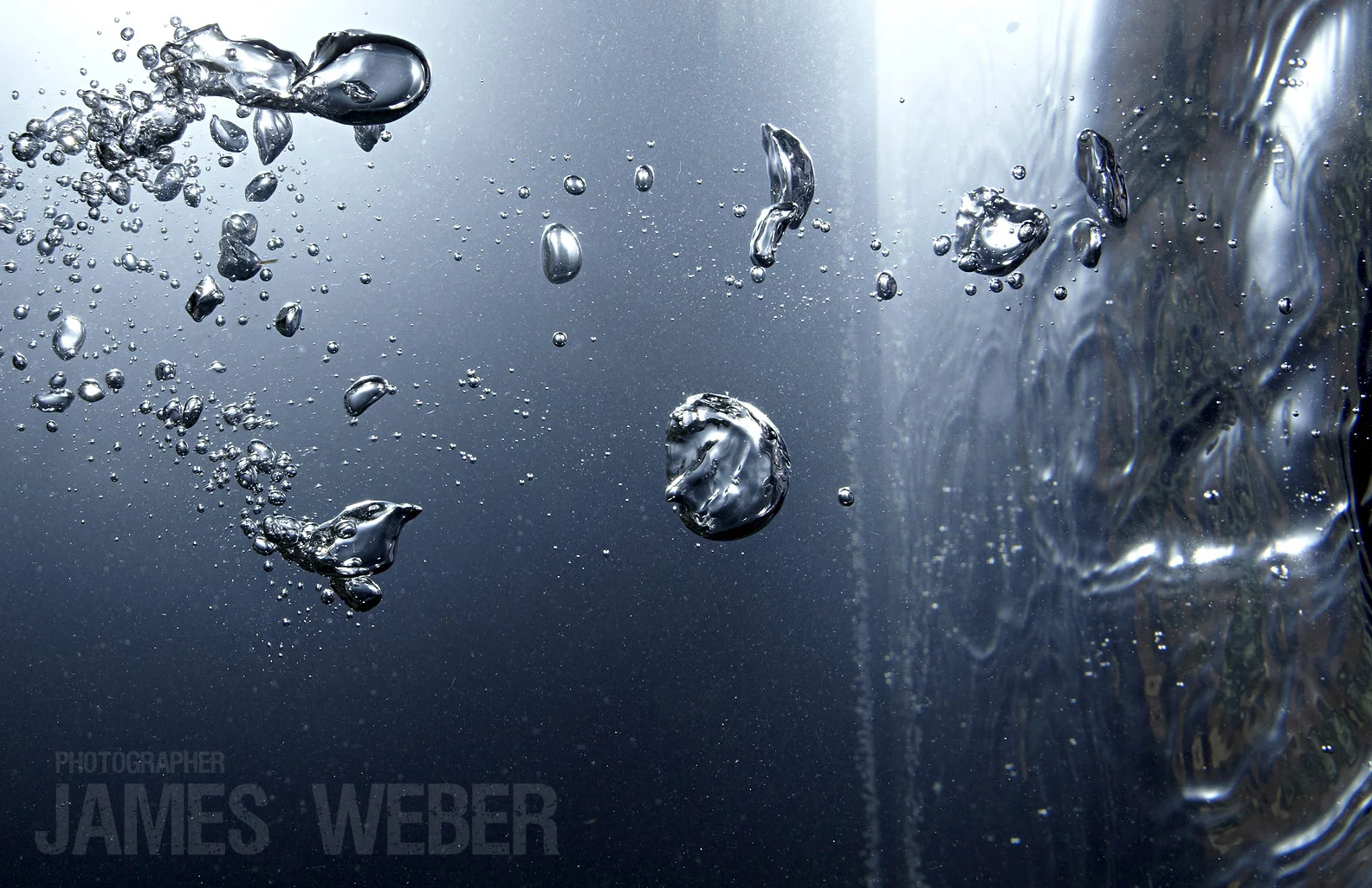 James-Weber-still-life-fragrance-5564.jpg
