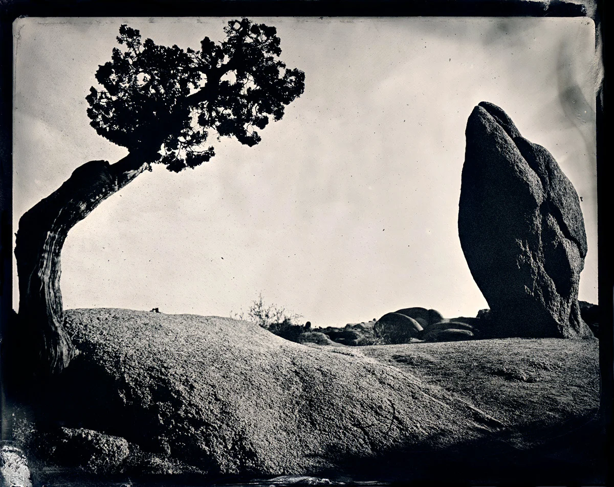 JAMES-WEBER-WETPLATE-00557.jpg