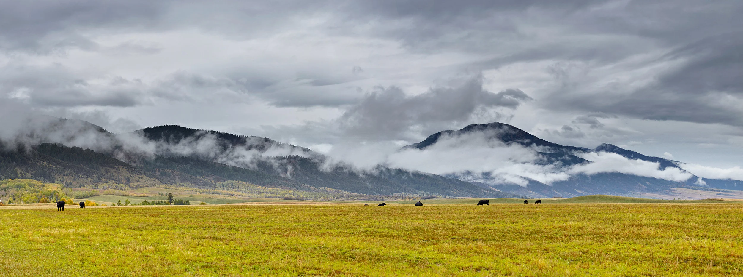 Untitled_Panorama1.jpg