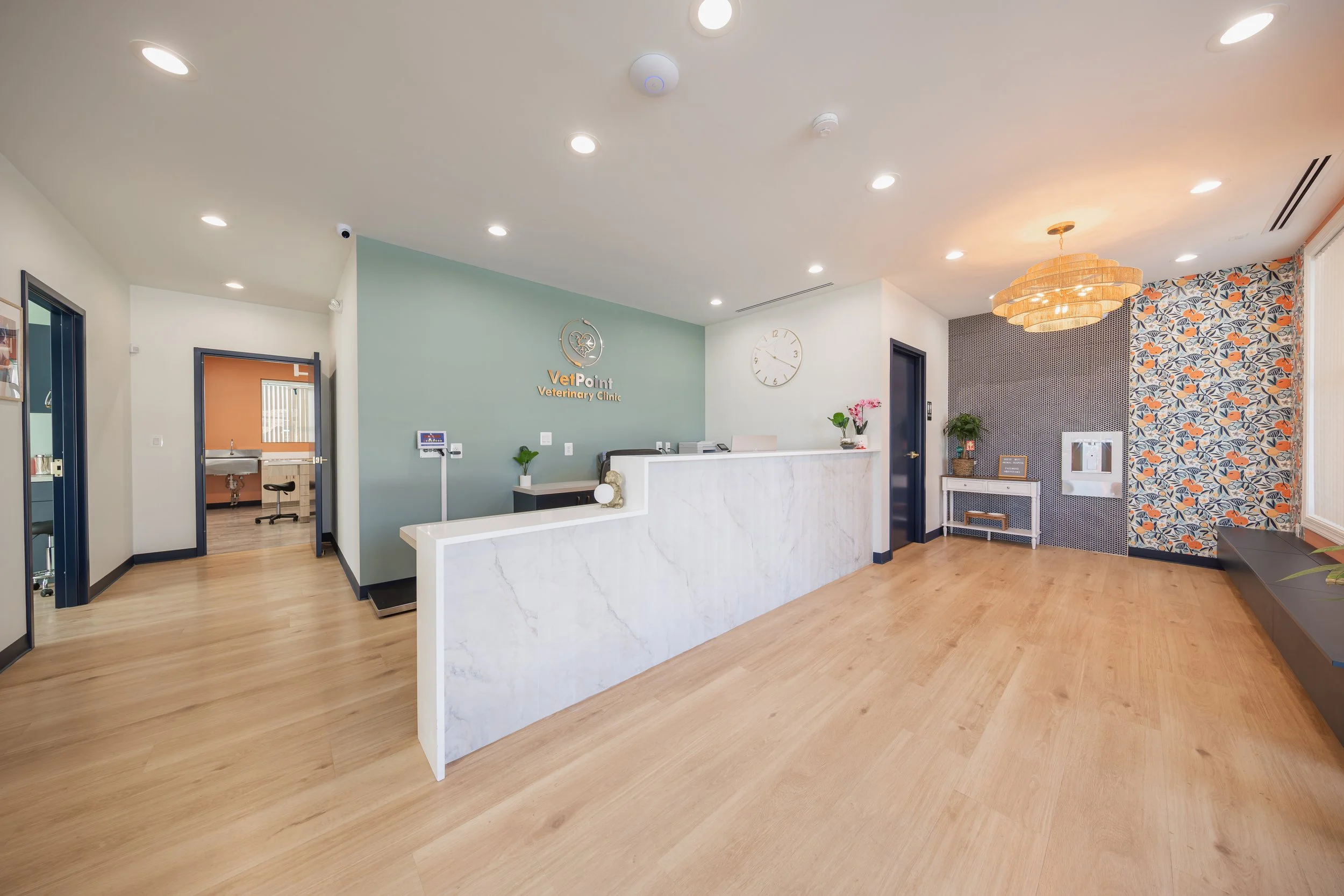 VetPoint Veterinary Clinic by Dexios Design-001.jpg