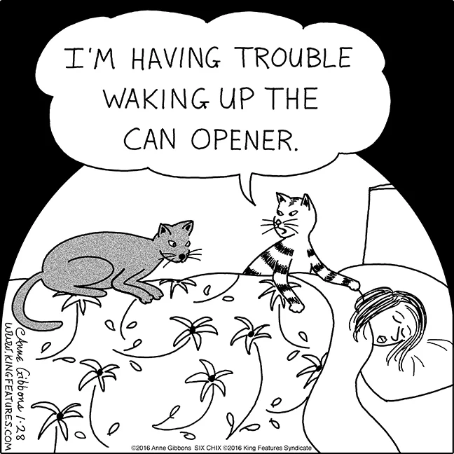 can opener.jpg