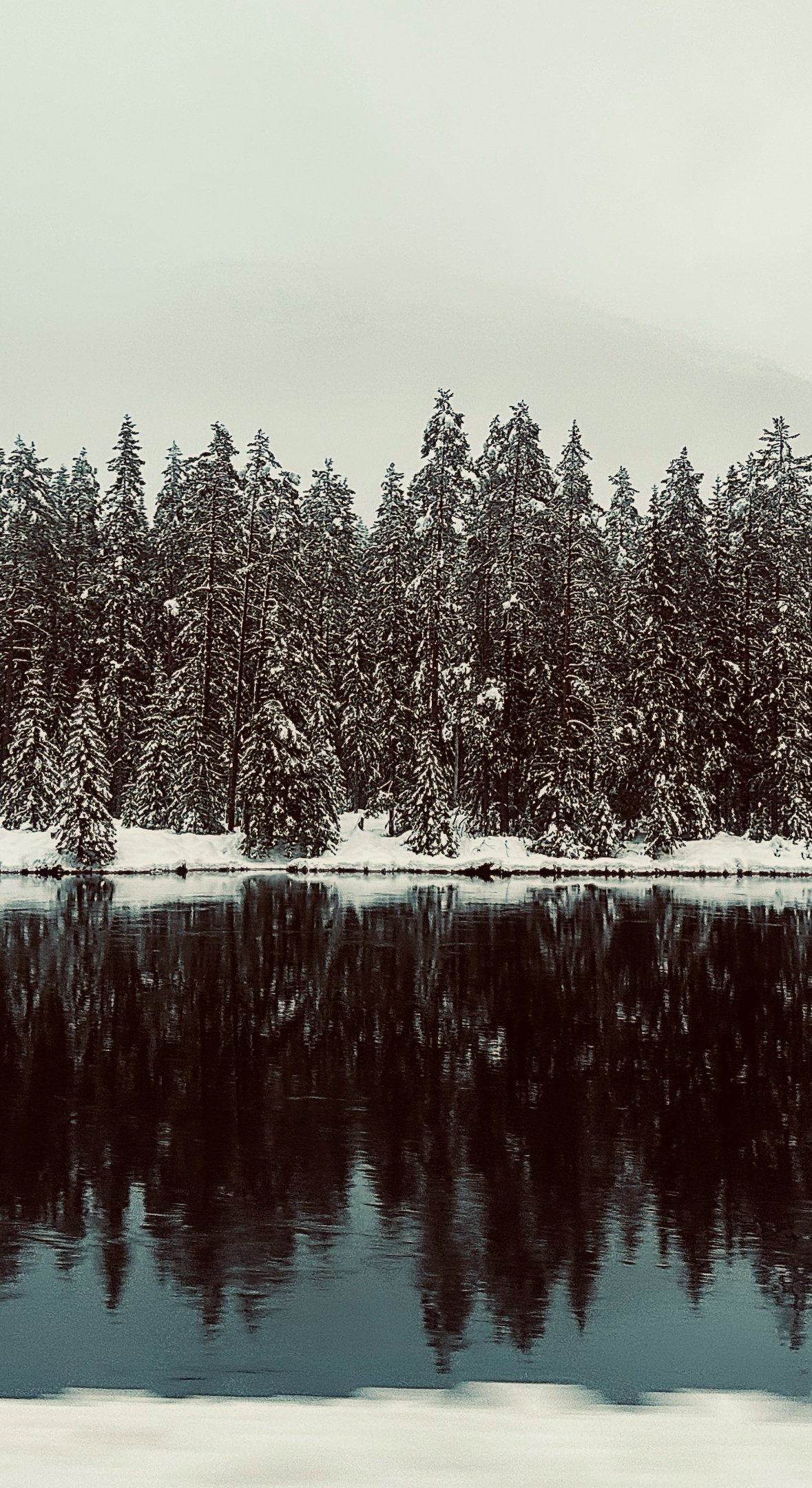 Bilde 17.01.2026, 18 51 31 (1).jpg