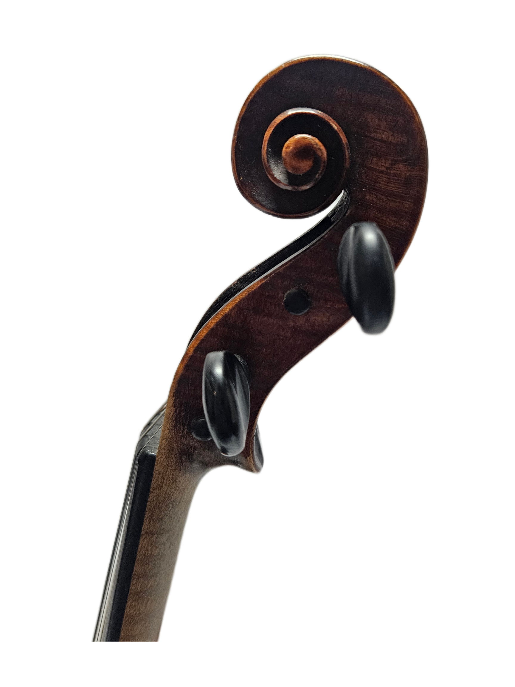 Friedrich August Glass Workshop VL Scroll .png