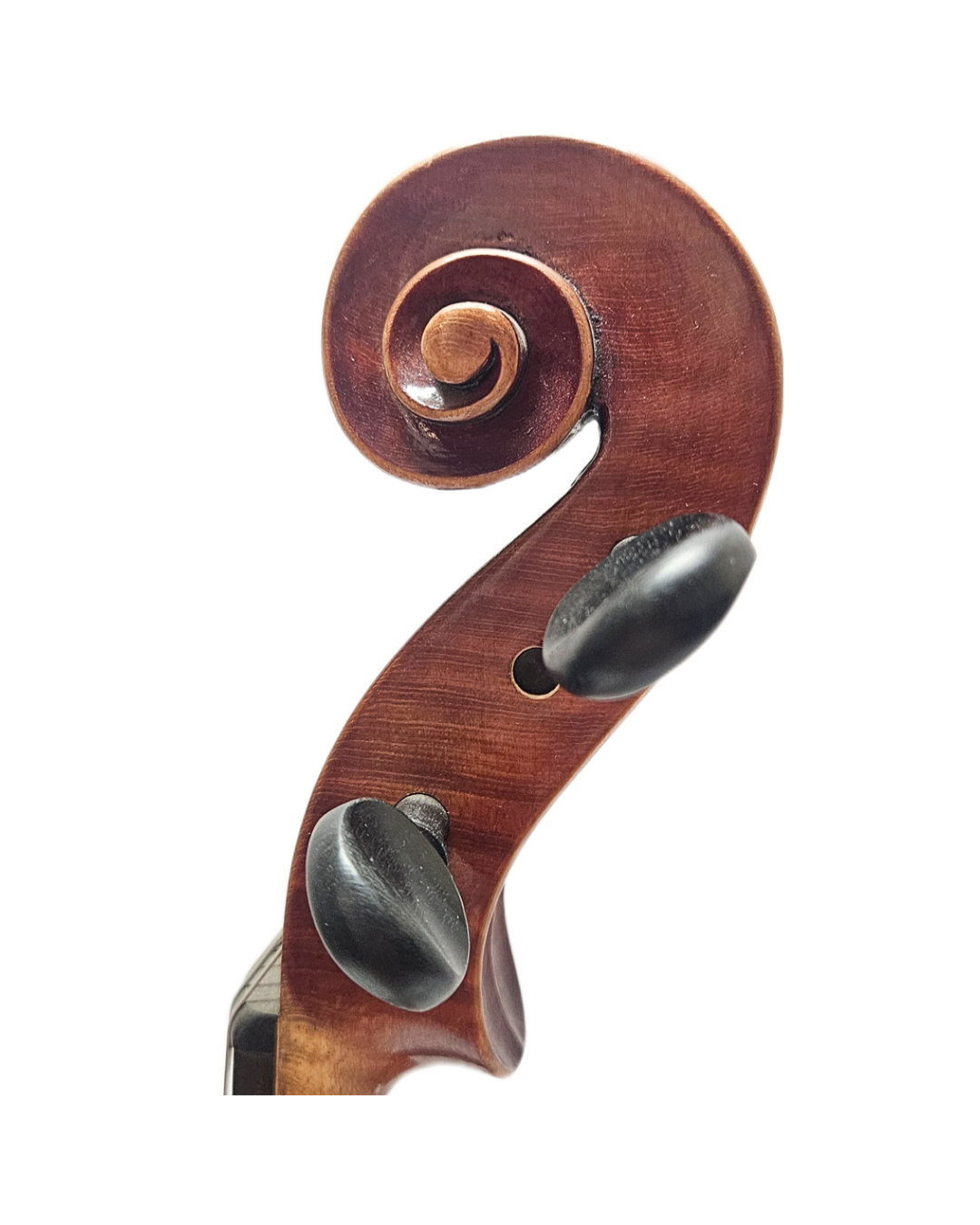 Jacobus Hornsteiner 1950s 16” VA Scroll.png
