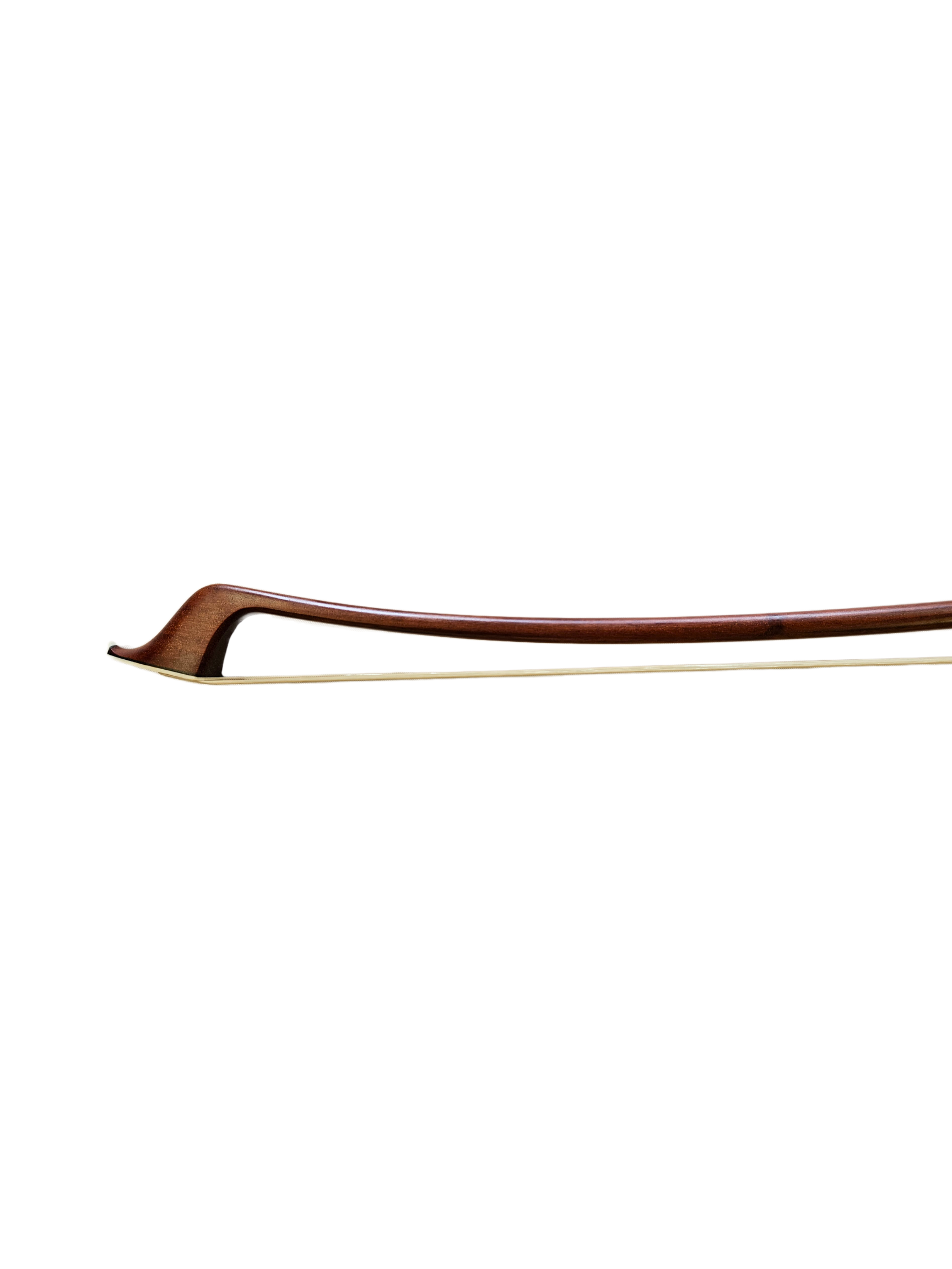 A Eastman German VB Bow Tip.png