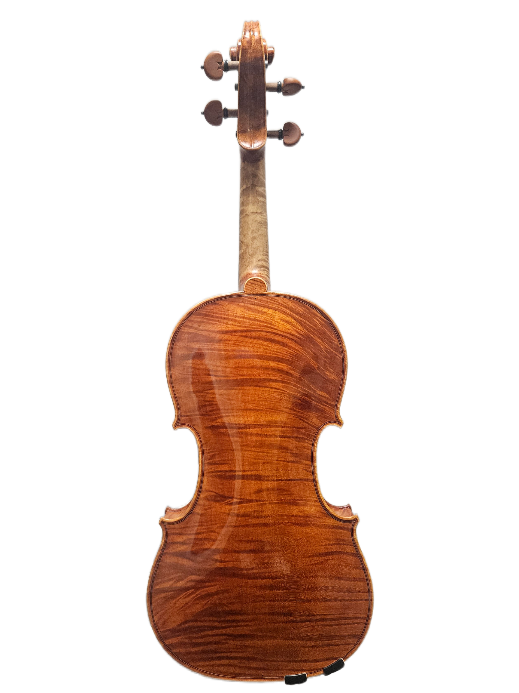 Maurizo Catellani 2009 VL Back.png