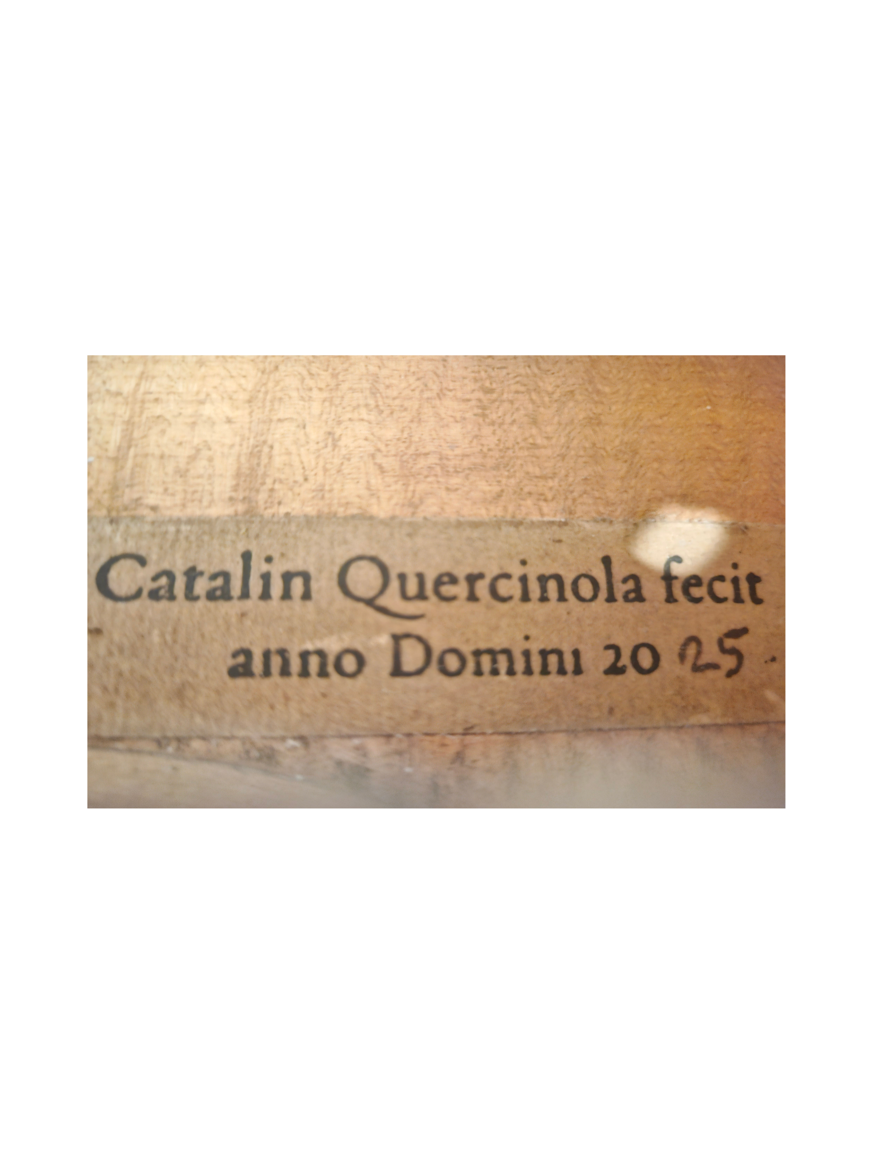 16 Catalin Quercinola VA Sticker.png