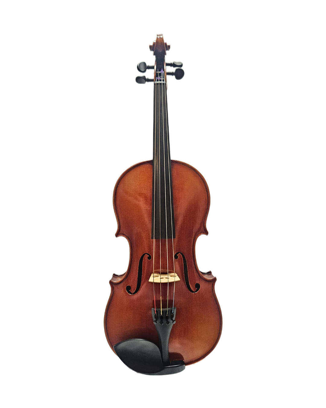 Jacobus Hornsteiner 1950s 16” VA Front.png