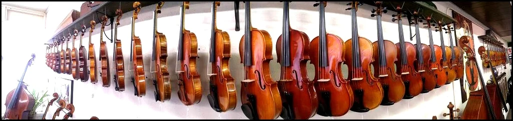 We carry all major brands of instruments & Bows, strings, cases, rosins, rests, and accessories for the student to soloist. Our friendly staff of professional string players will help you find the right instrument to fit your needs and budget.
