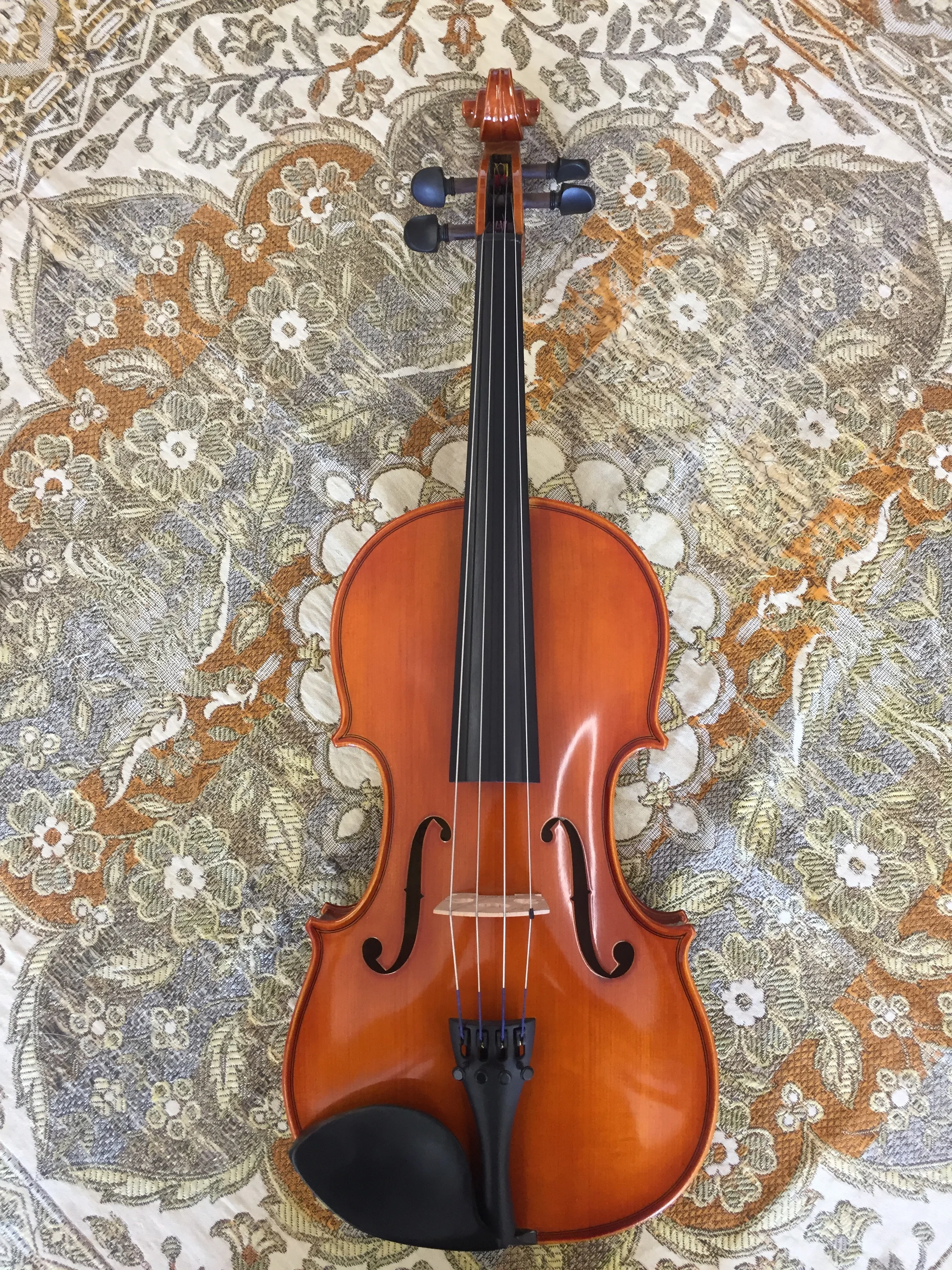 11-16.5" Eastman Model 80 Viola Outfit