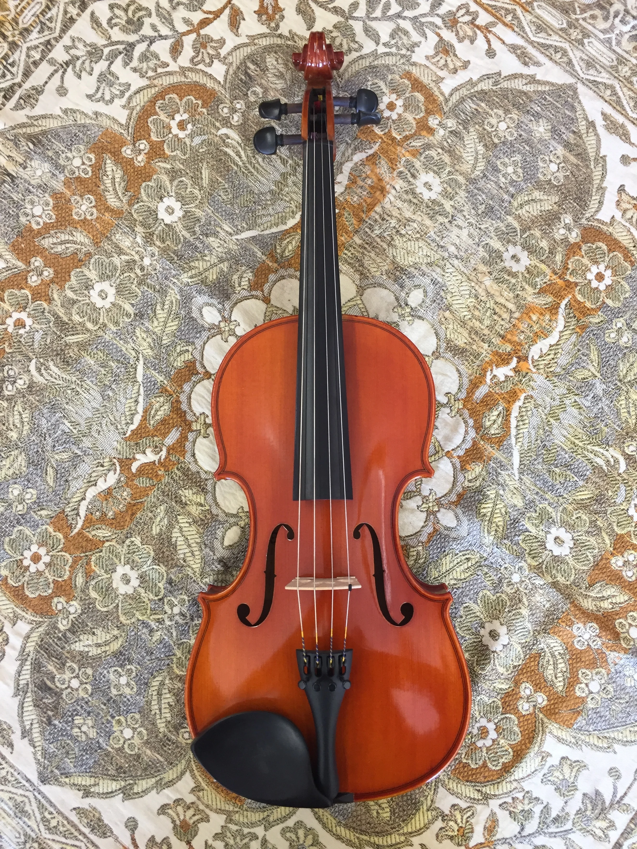 14-16.5" Eastman Model 100 Viola Outfit