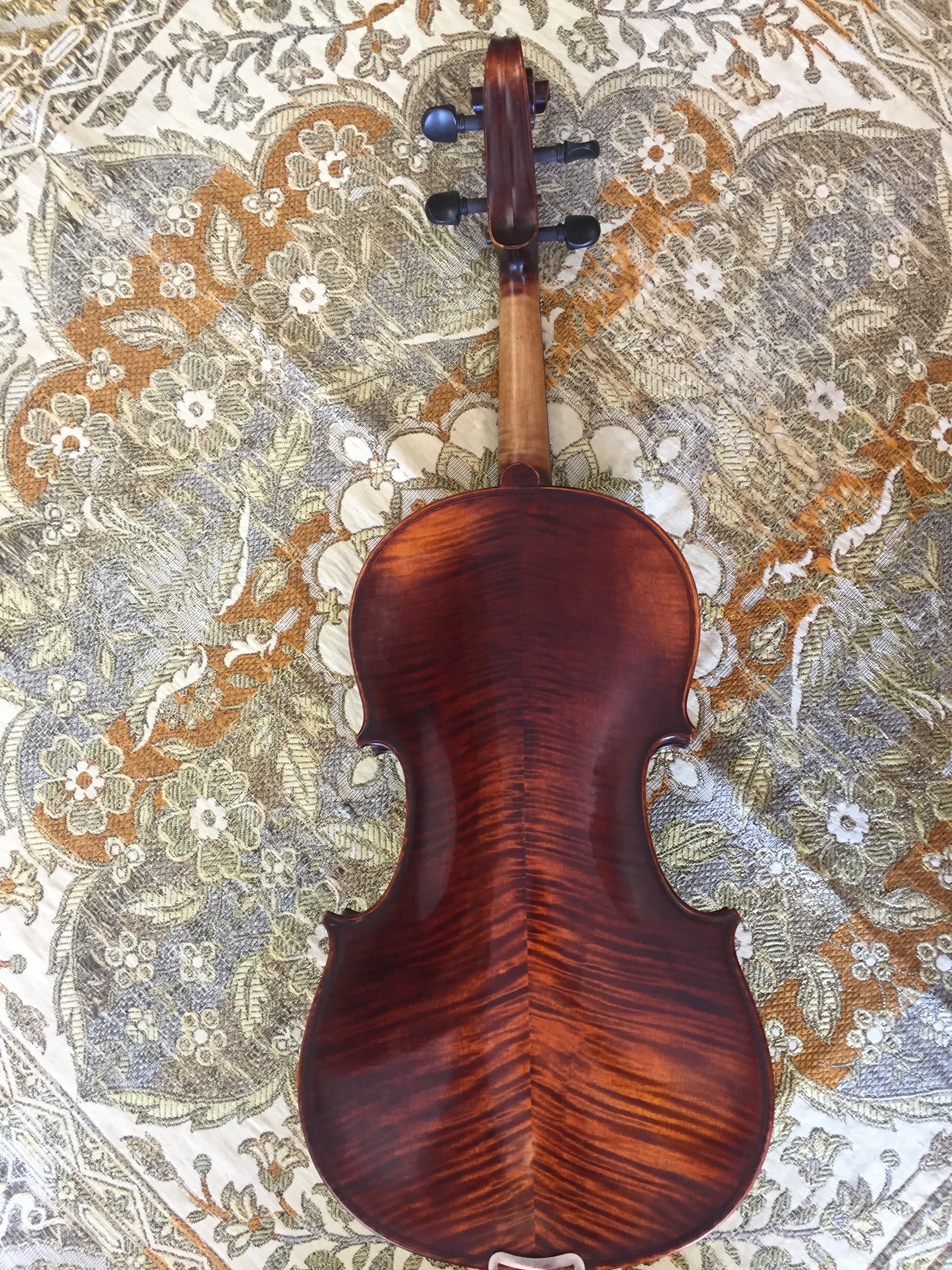 " Viola Back.JPG