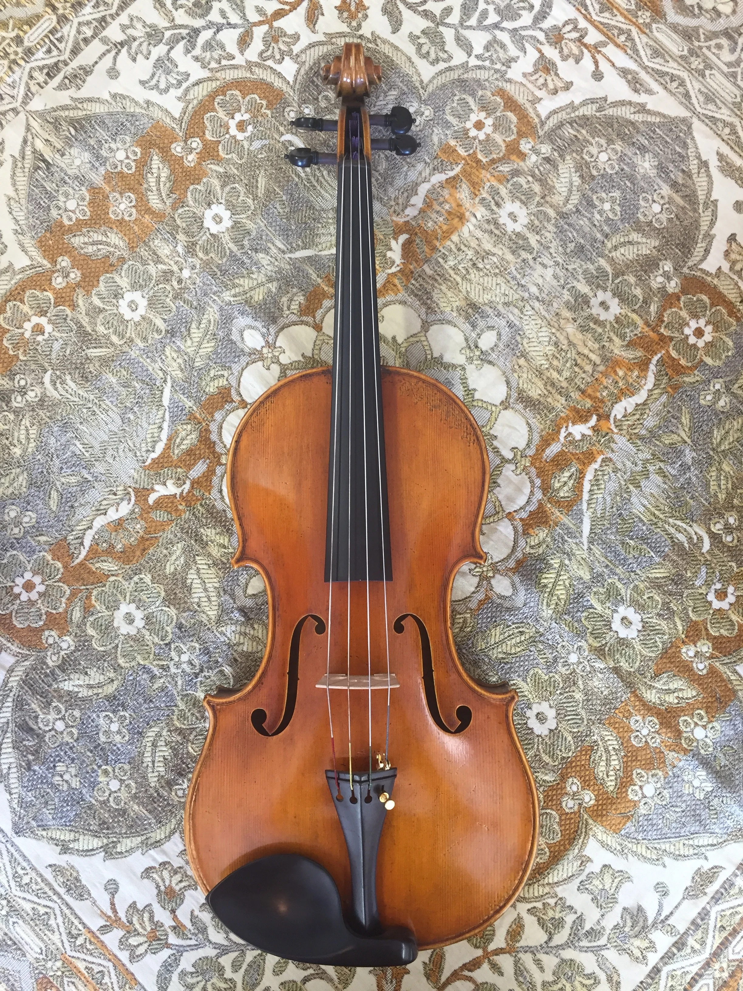 16 1/4" Dante Rosso Viola