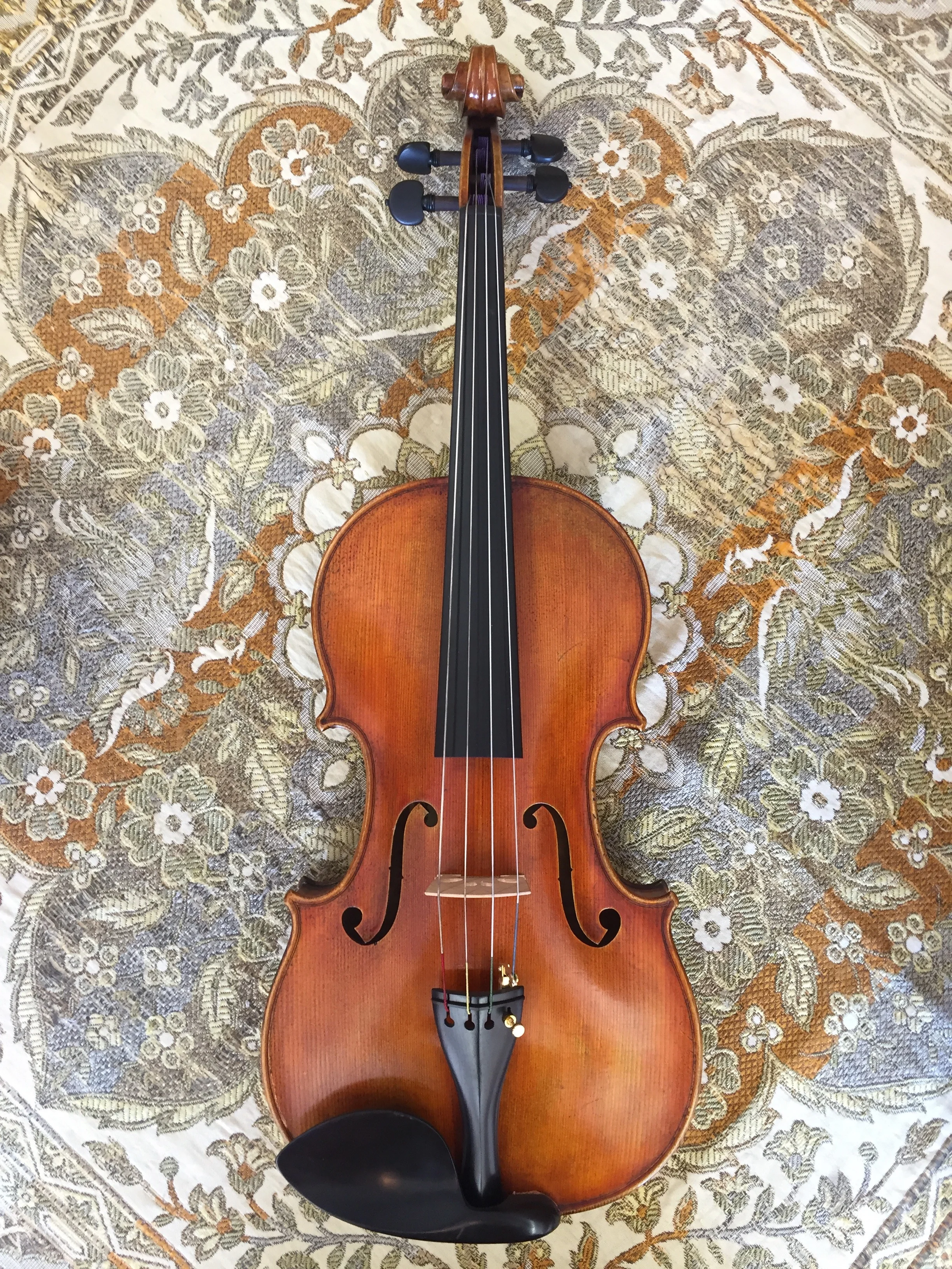15 3/4" Dragon DR40 Viola