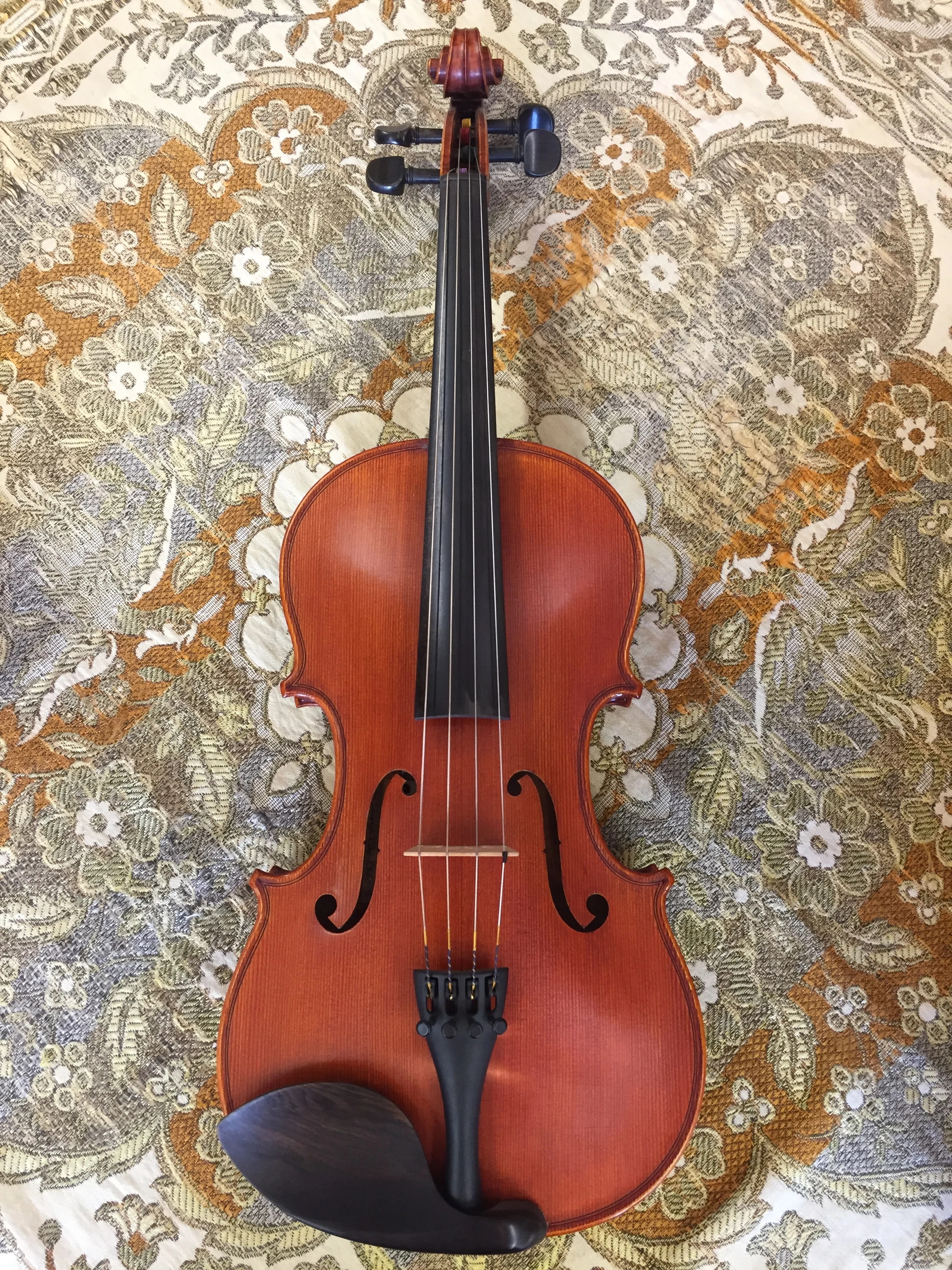 " Viola Top.JPG