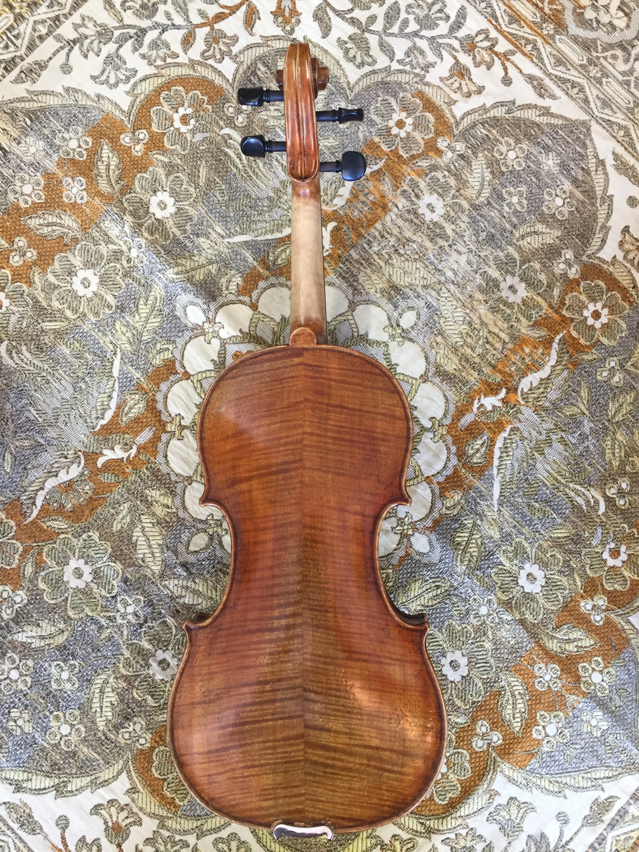 Tuisa Strings Violin Shop - Dragon DR50 Guarneri Violin Back.jpg