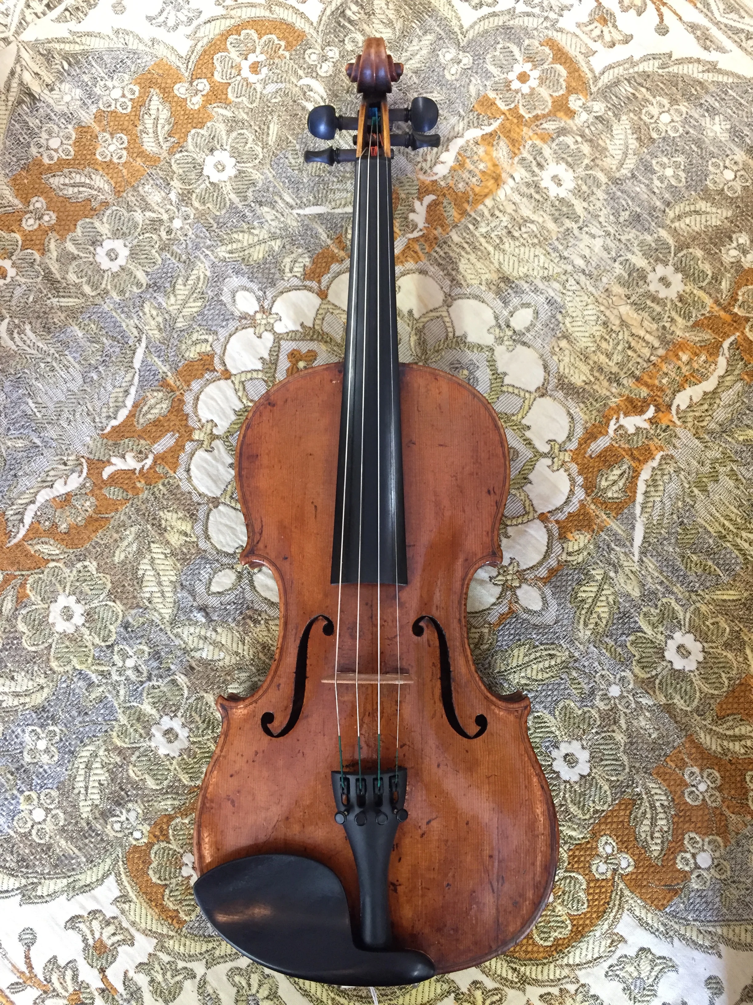 Tulsa Strings Violin Shop -Johann Glass 1803 Violin Top.jpg