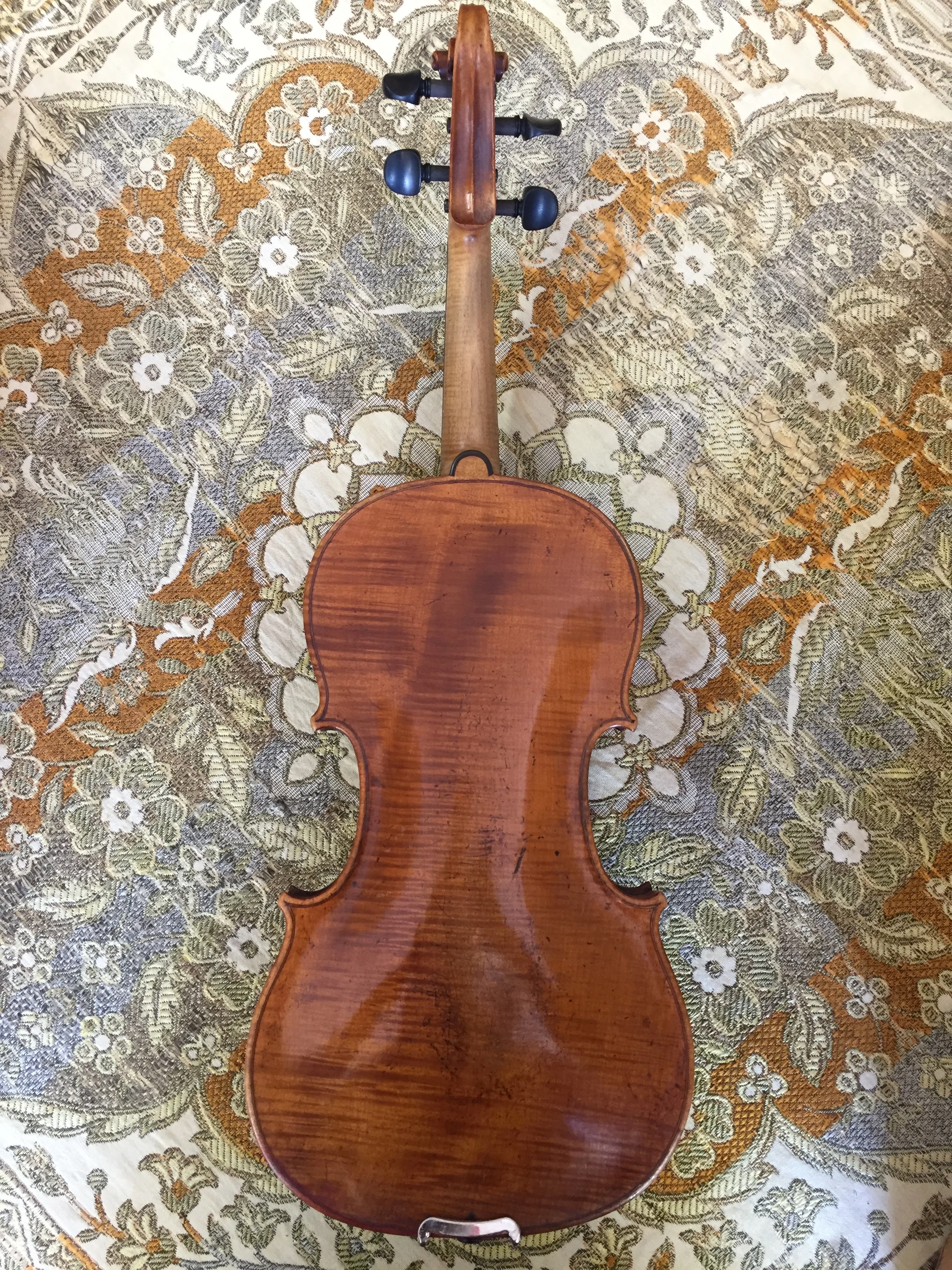 Tulsa Strings Violin Shop -Johann Glass 1803 Violin Back.jpg