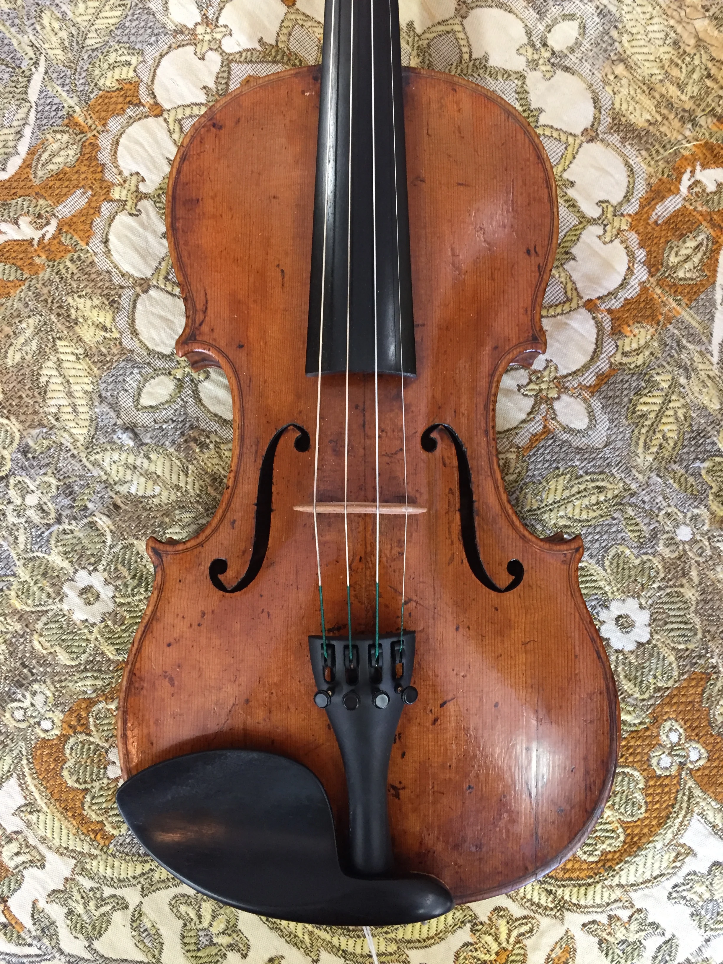 Tulsa Strings Violin Shop -Johann Glass 1803 Violin Top Close.jpg
