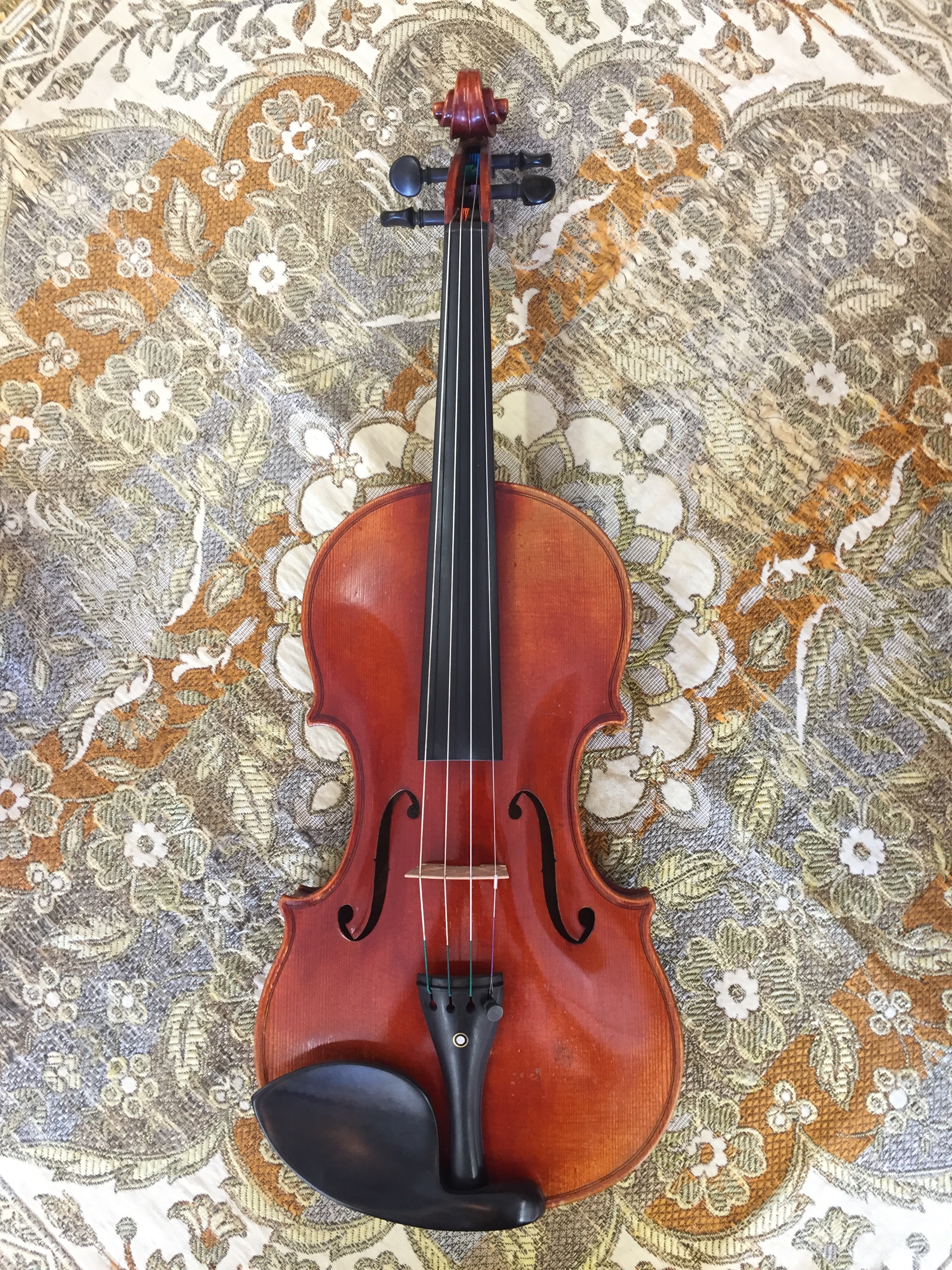 Tuisa Strings Violin Shop - Wenzel Fuchs Germany Violin Top.jpg