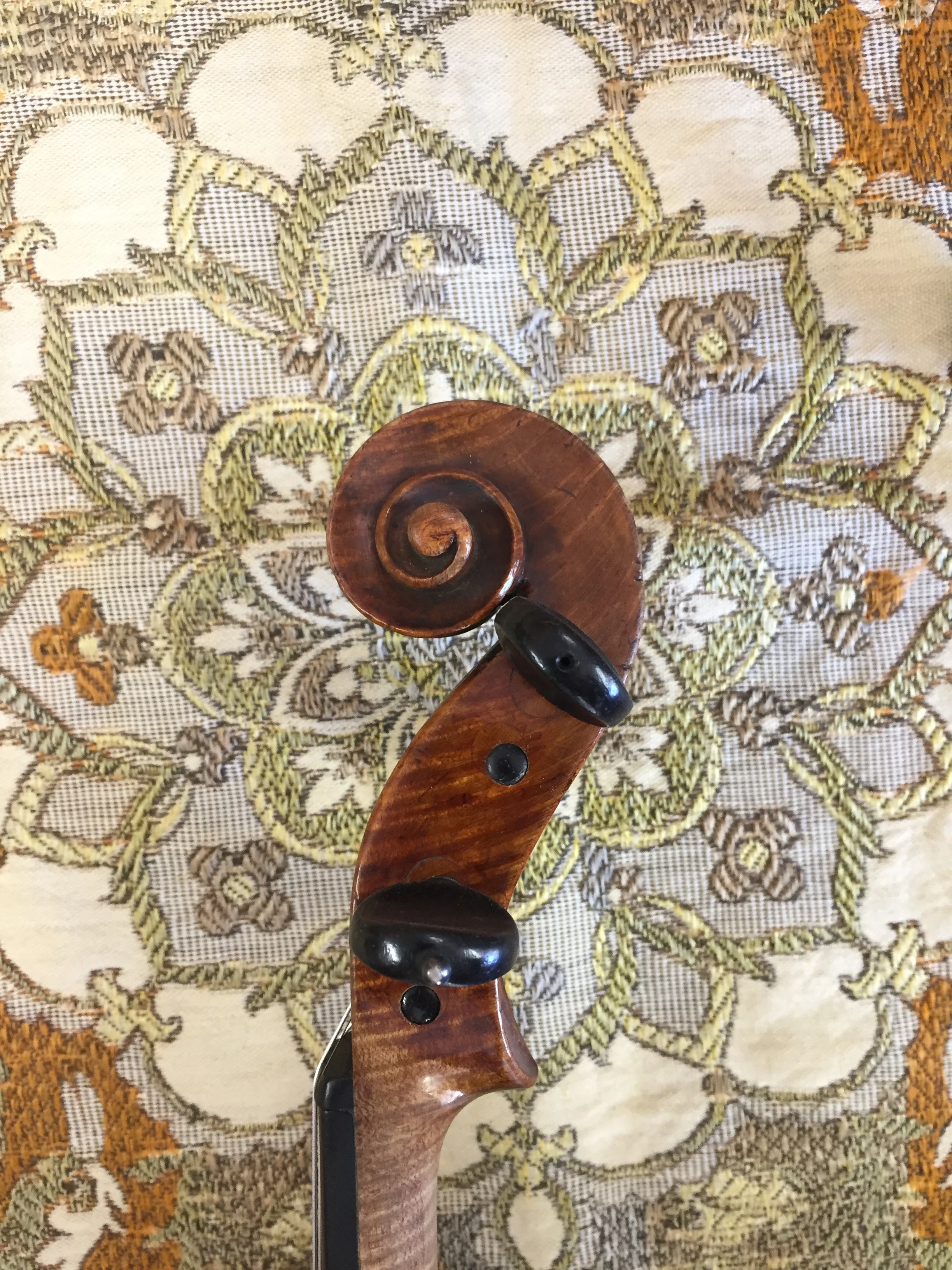 Tuisa Strings Violin Shop -F.S. Jean France- Violin scroll.jpg