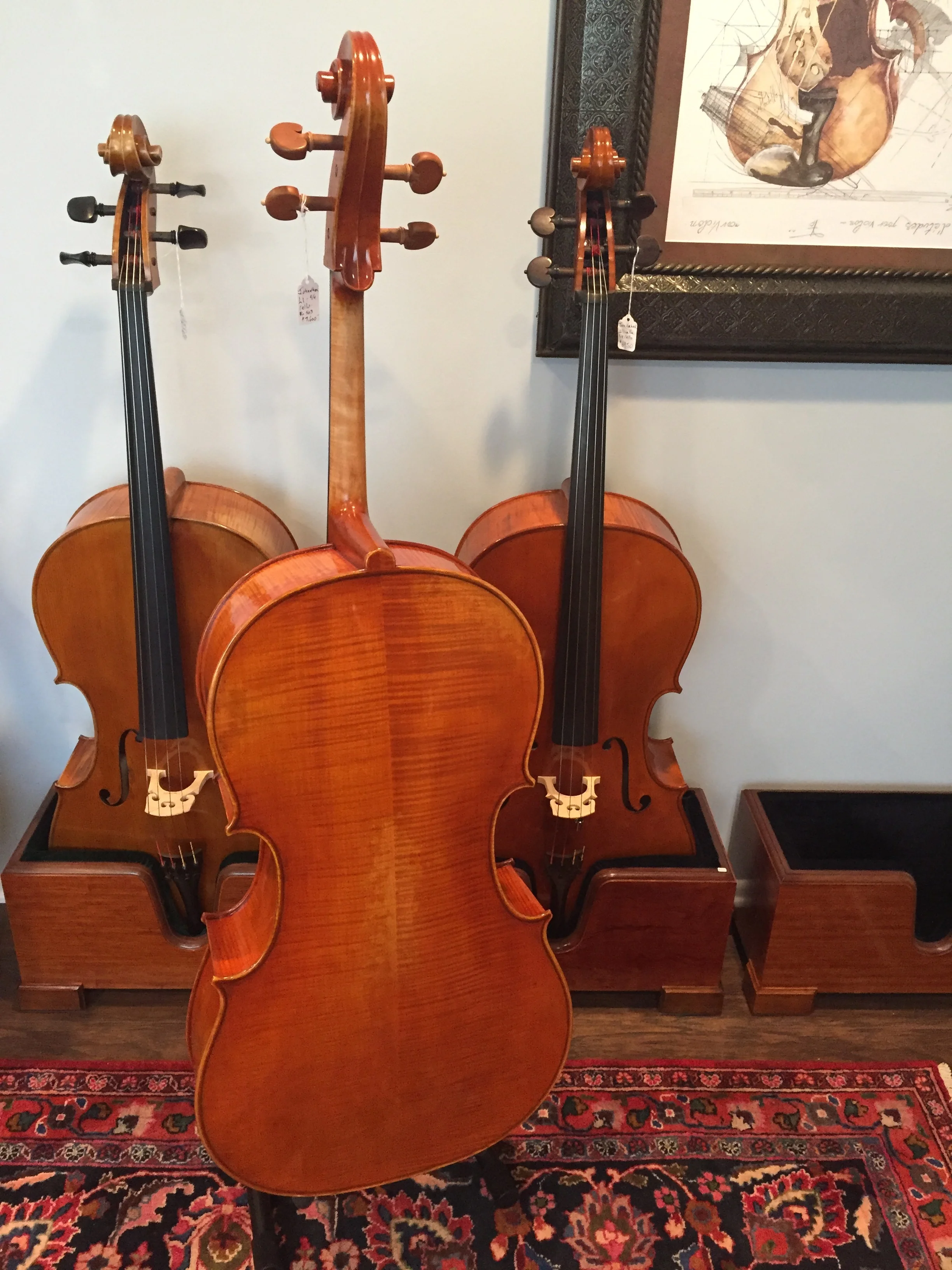 Tulsa Strings Violin Shop - Jonathan Li  503 Cello Back.JPG