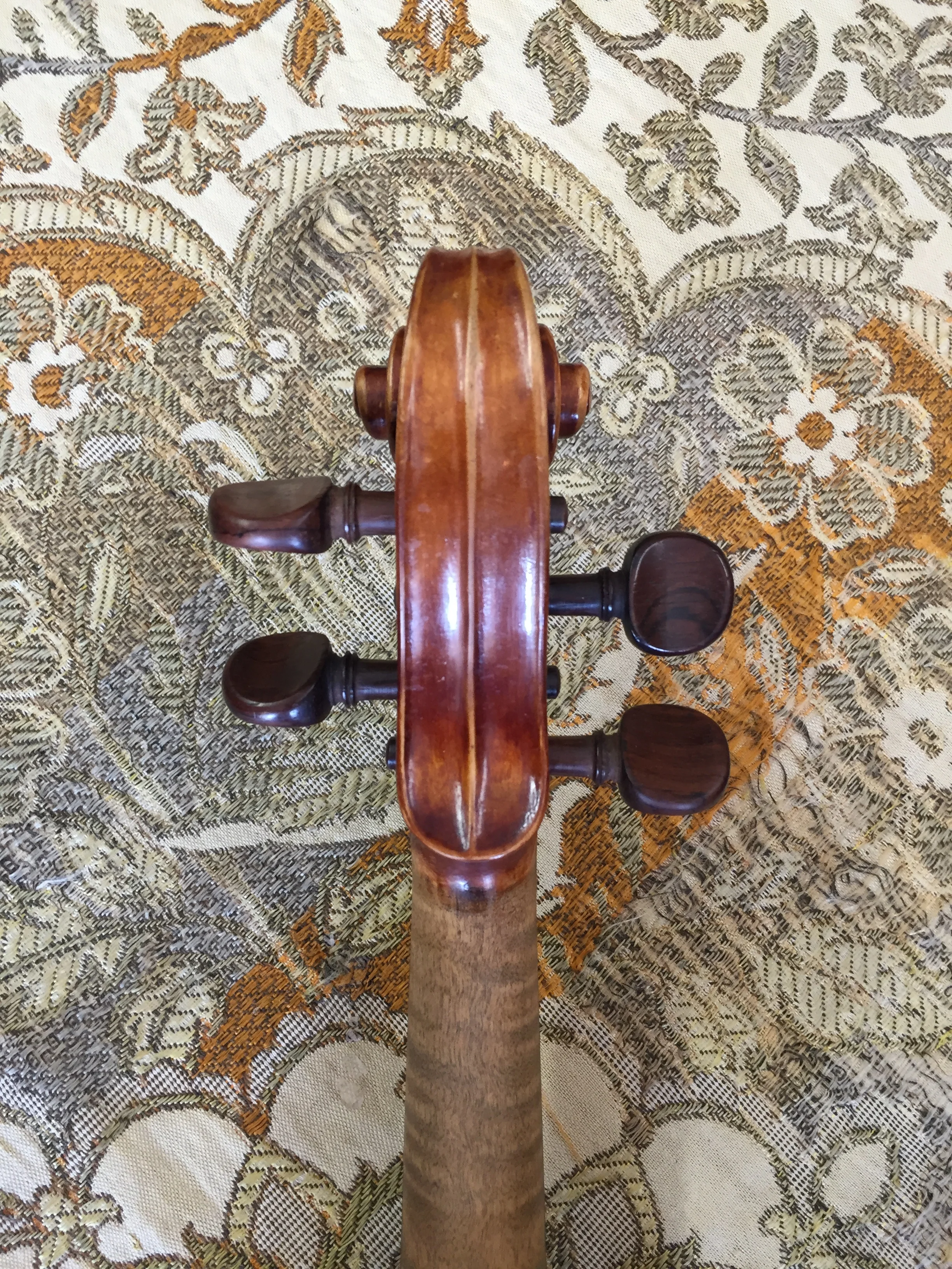 Tulsa Strings Violin Shop -James Reynold Carlisle 1924 Guarneri Copy Scroll Back.jpg