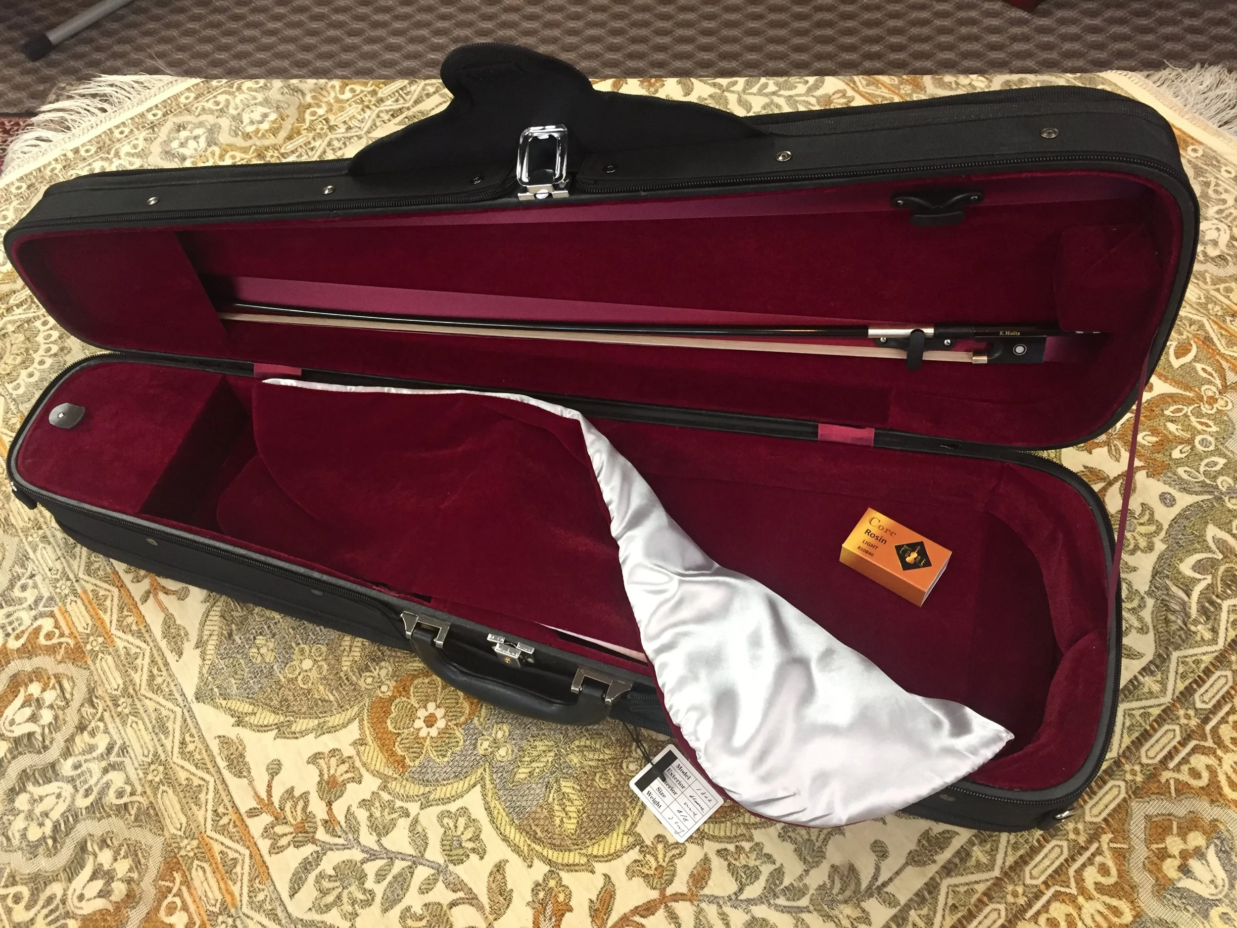 Eastman Strings Model 105 (Sunato) Violin Outfit — Tulsa Strings Violin