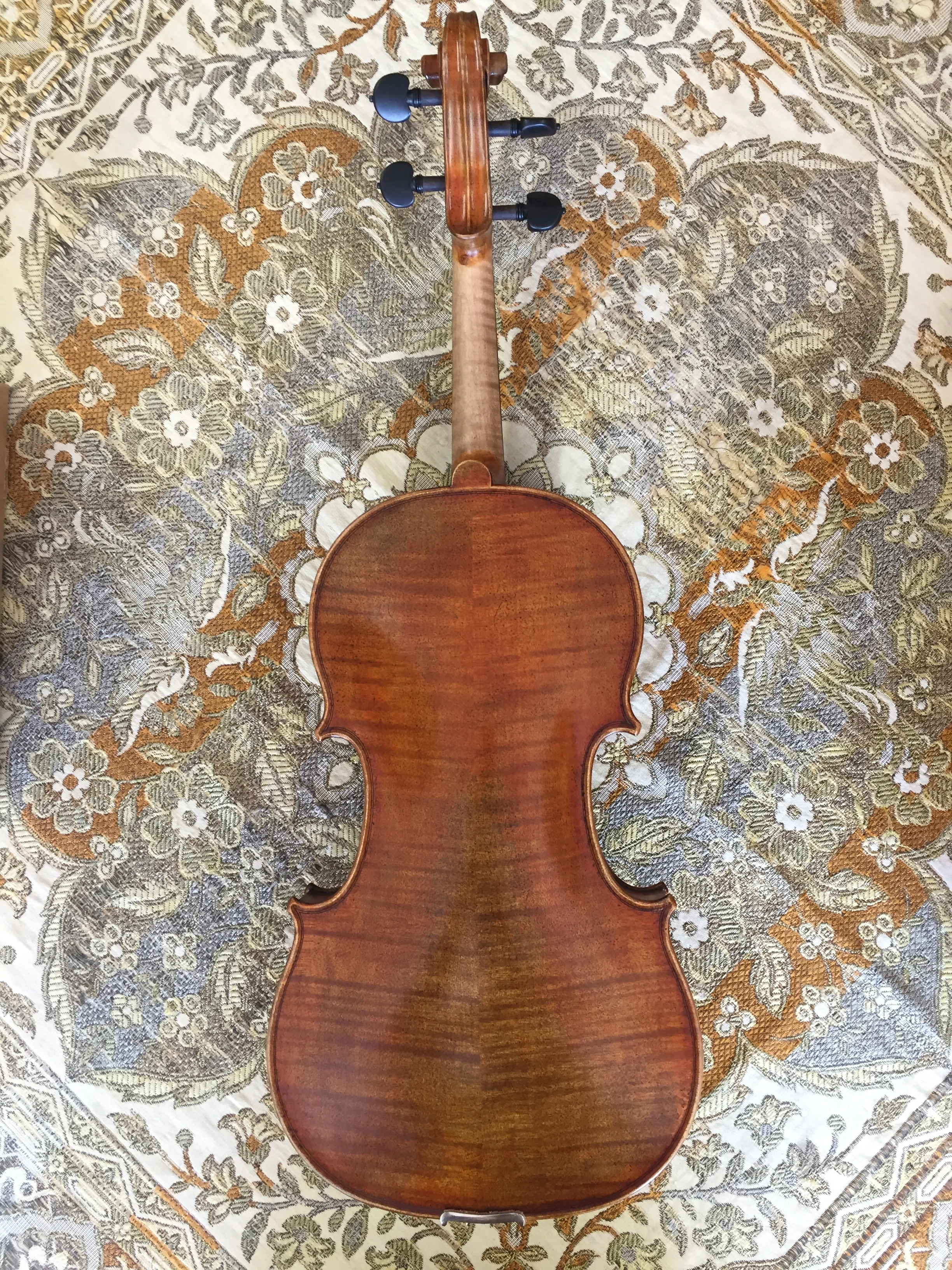 " Viola Back.JPG