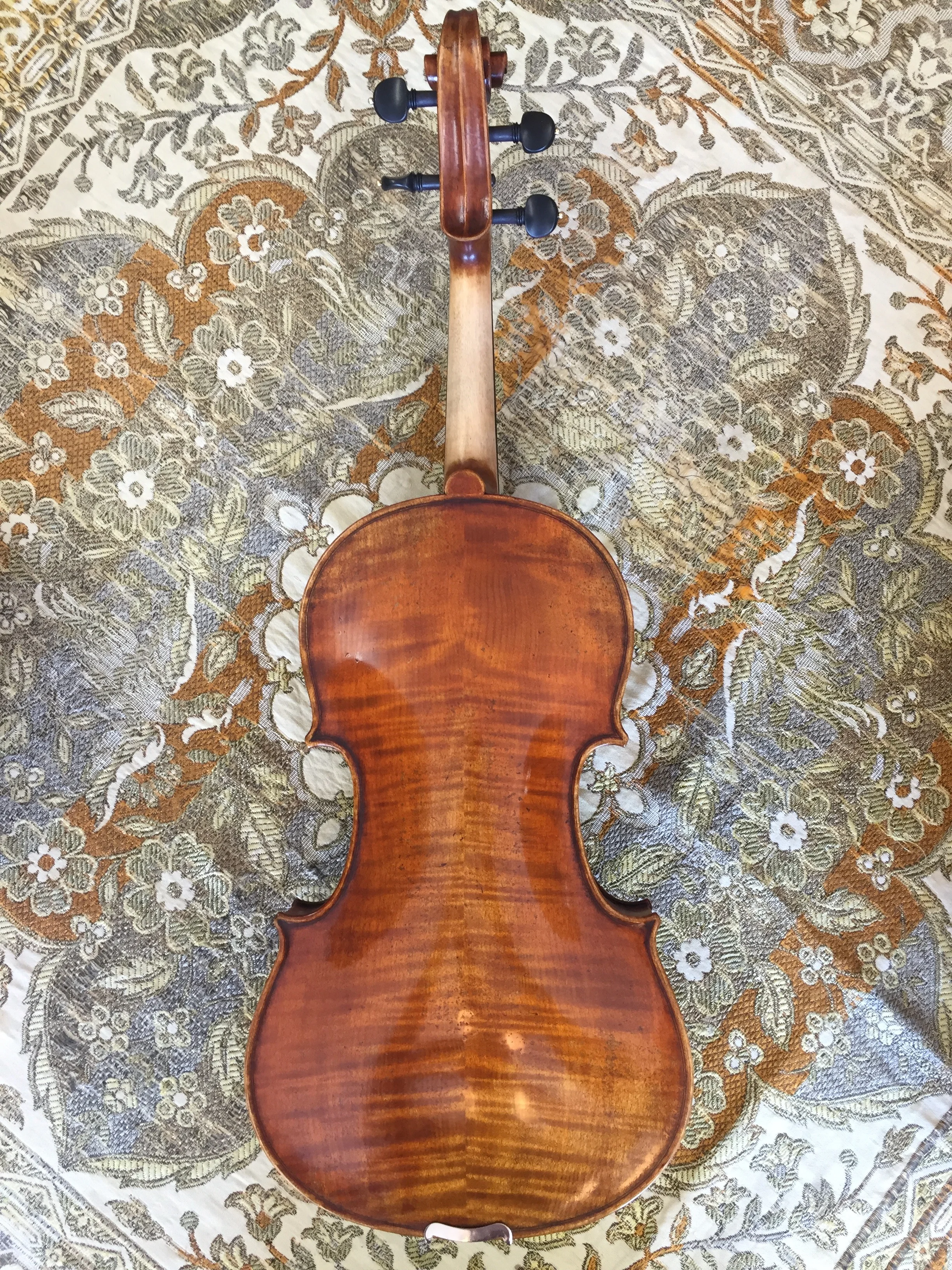 " Viola Back.jpg