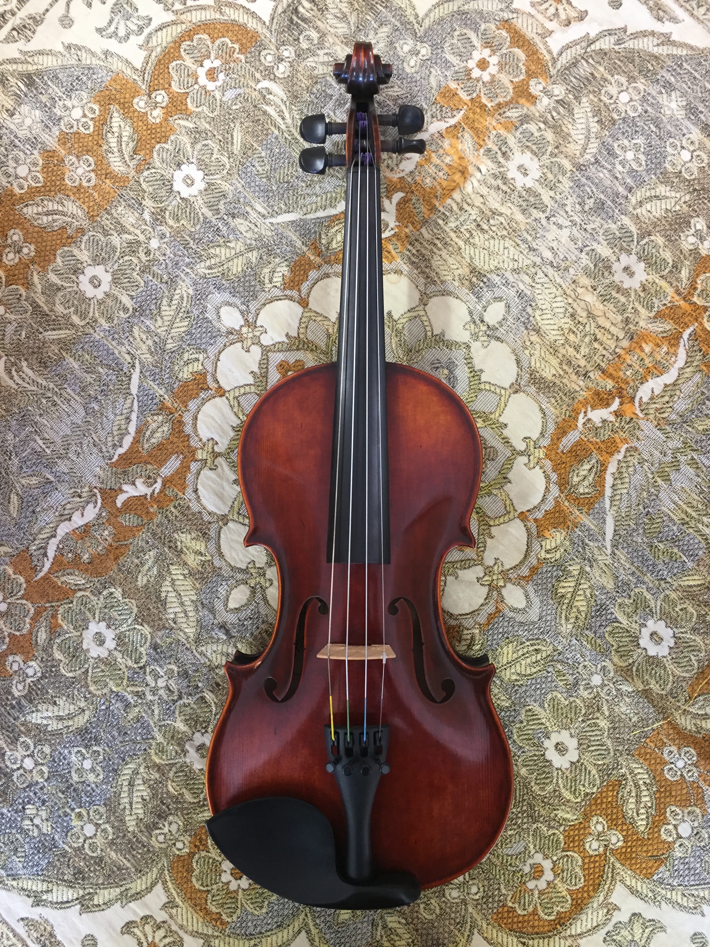 Tulsa Strings Violin Shop - Albert Nebel 1:2 Violin Top.JPG