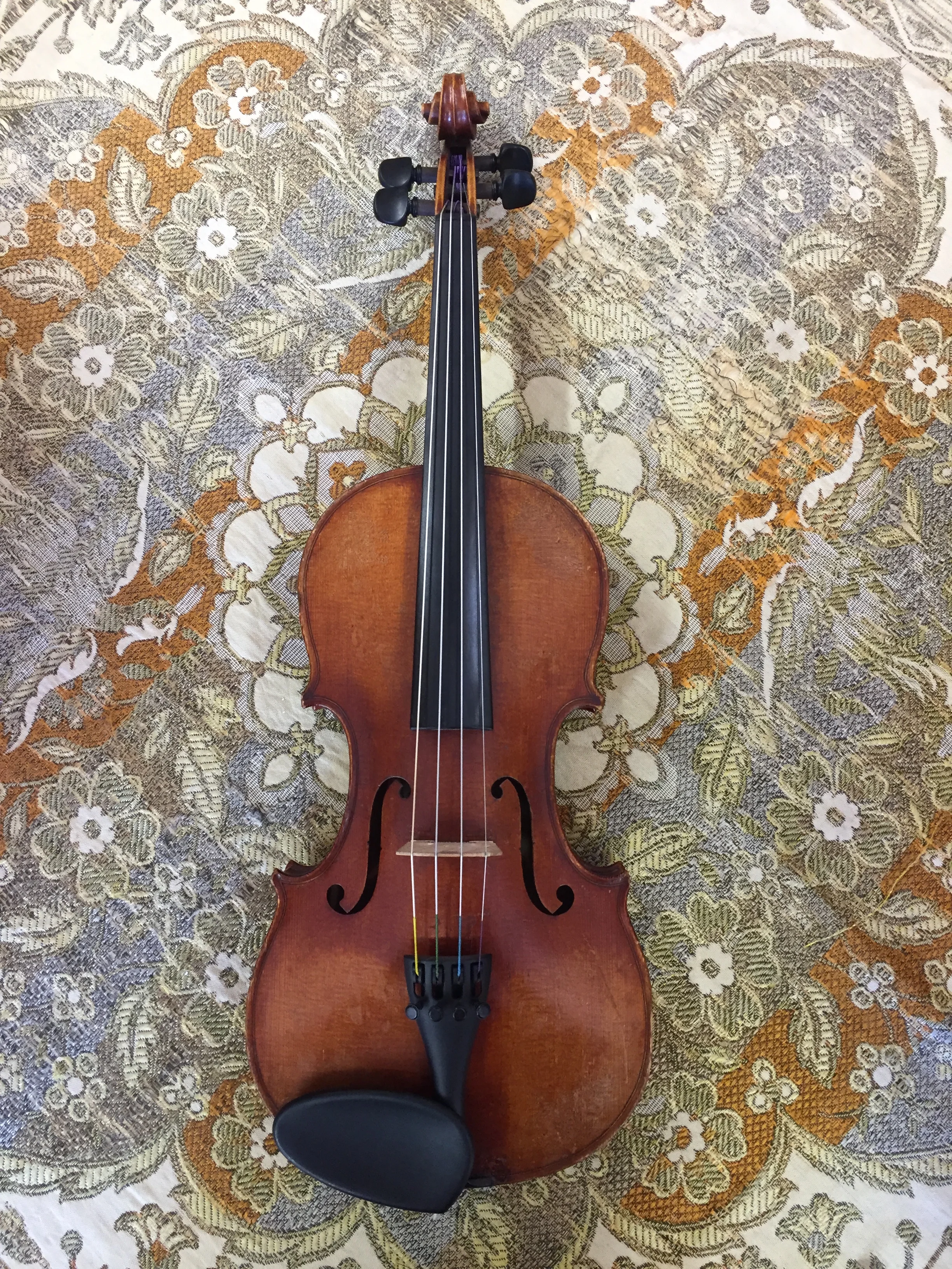 Tulsa Strings Violin Shop - 3:4 Kochendorfler Violin Top.JPG