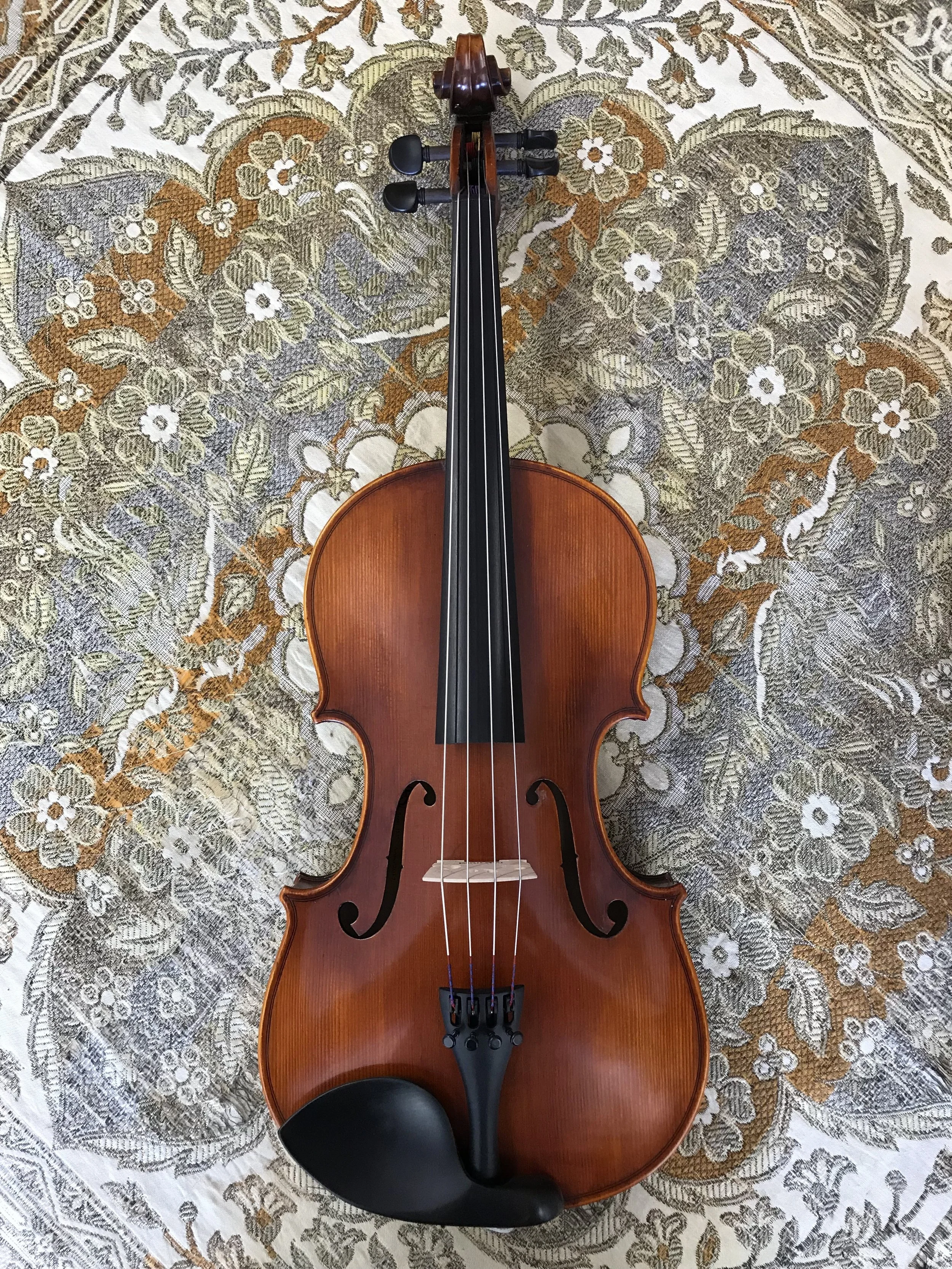 Tulsa Strings Violin Shop - 15 1:2 Eastman 105 Viola Top.jpg