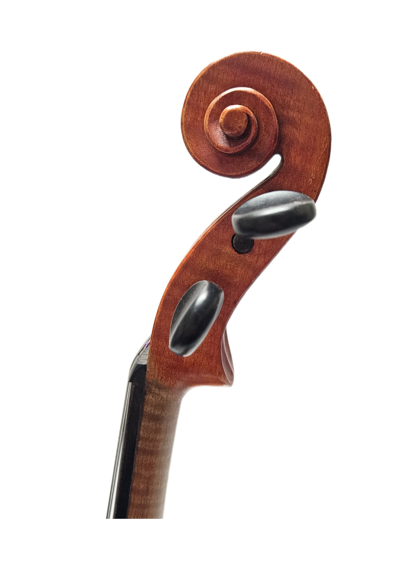 Giuseppe Dollens Copy VL Scroll.png