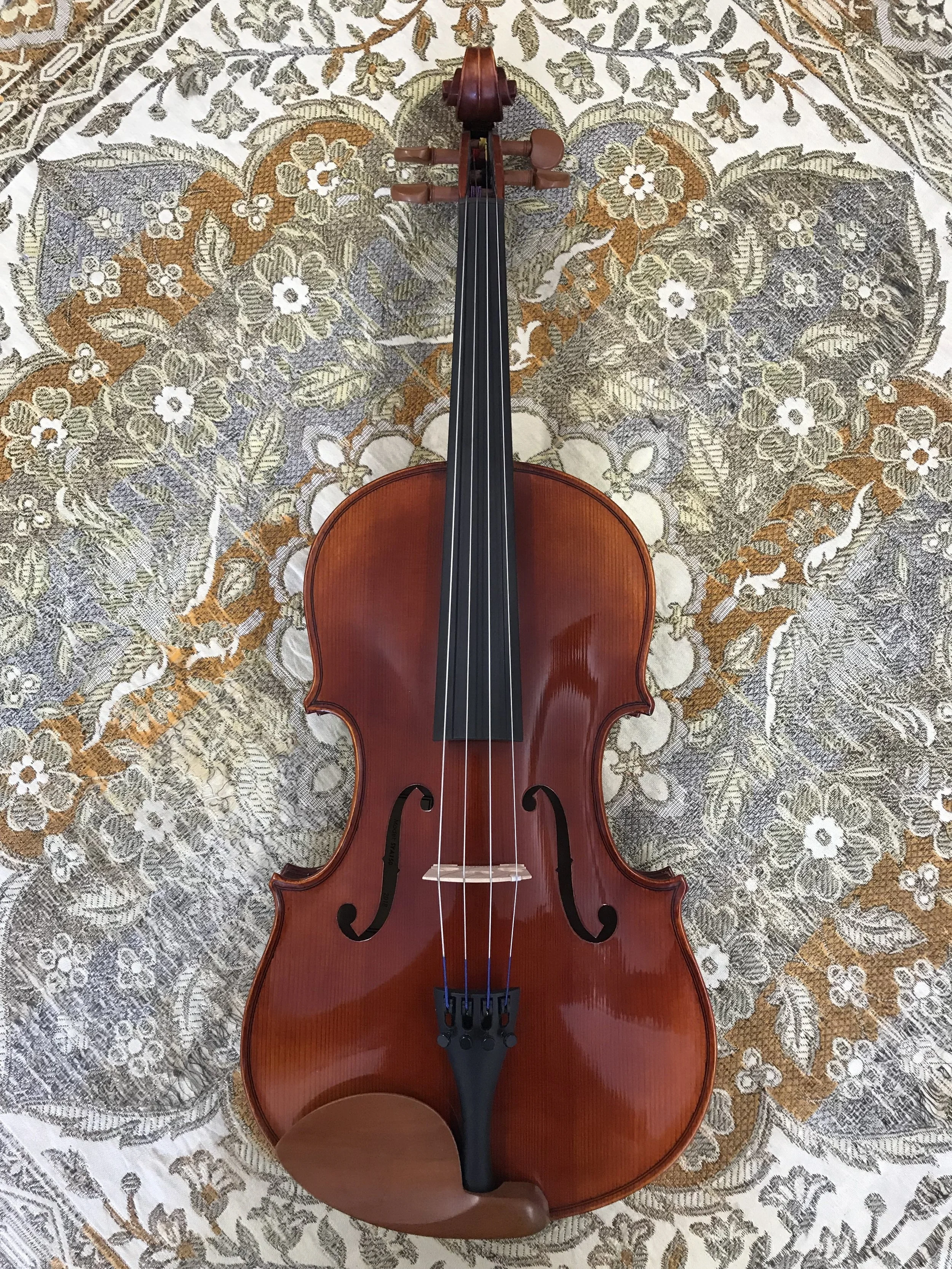 Tulsa Strings Violin Shop - 15 1:2 Scott Cao SCOTTI Viola Top.jpg