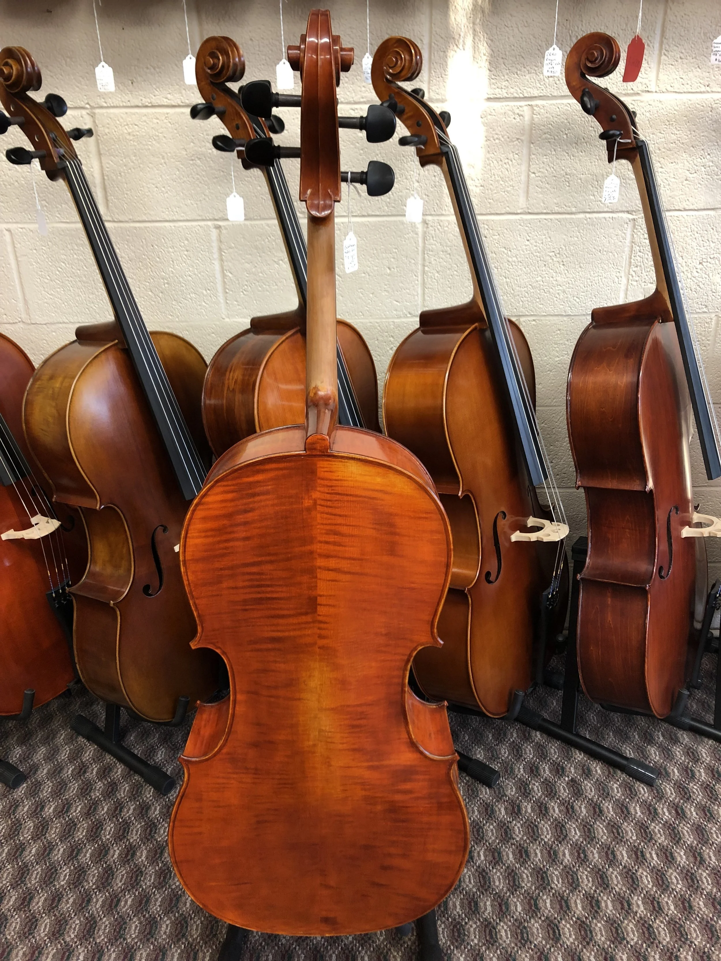 Tulsa Strings Violin Shop - Eastman Model 200 7:8th size Cello Back.jpg