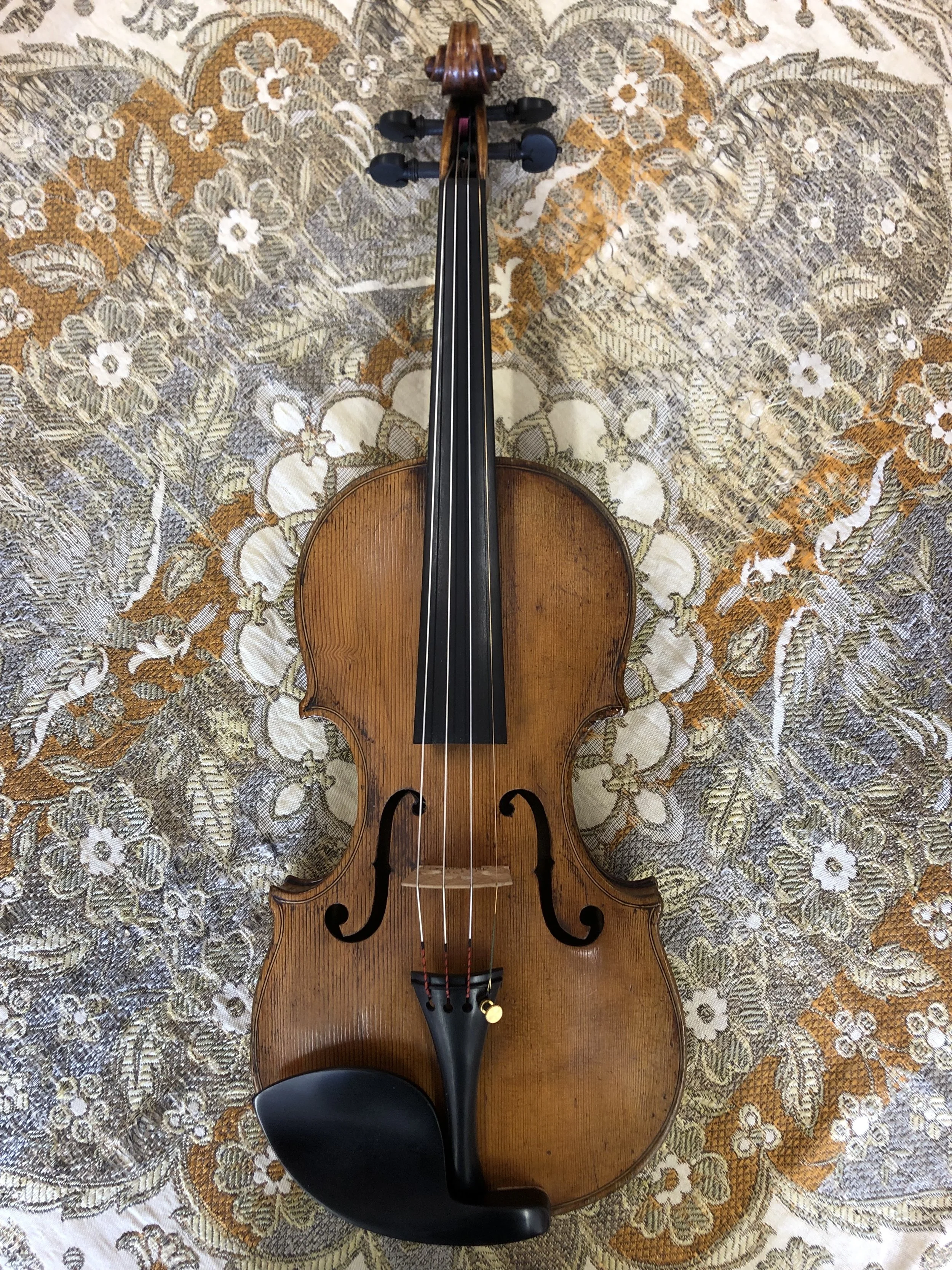 Tulsa Strings Violin Shop - 18th Century English Violin Top.jpg