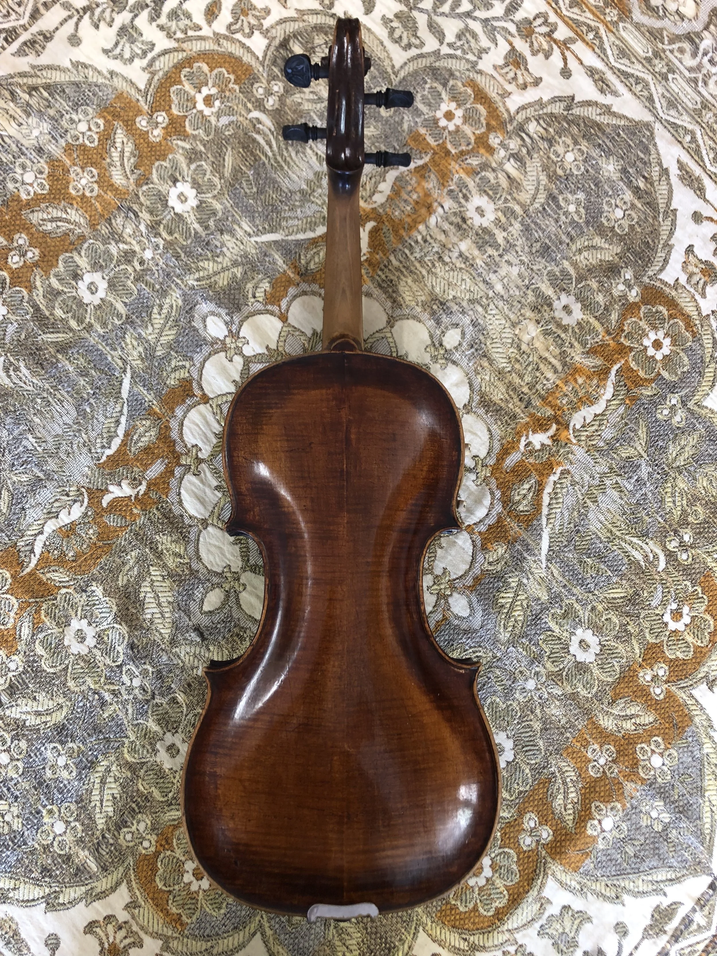 Tulsa Strings Violin Shop - Johann Georg Reichel c. 1690 Violin Back.jpg