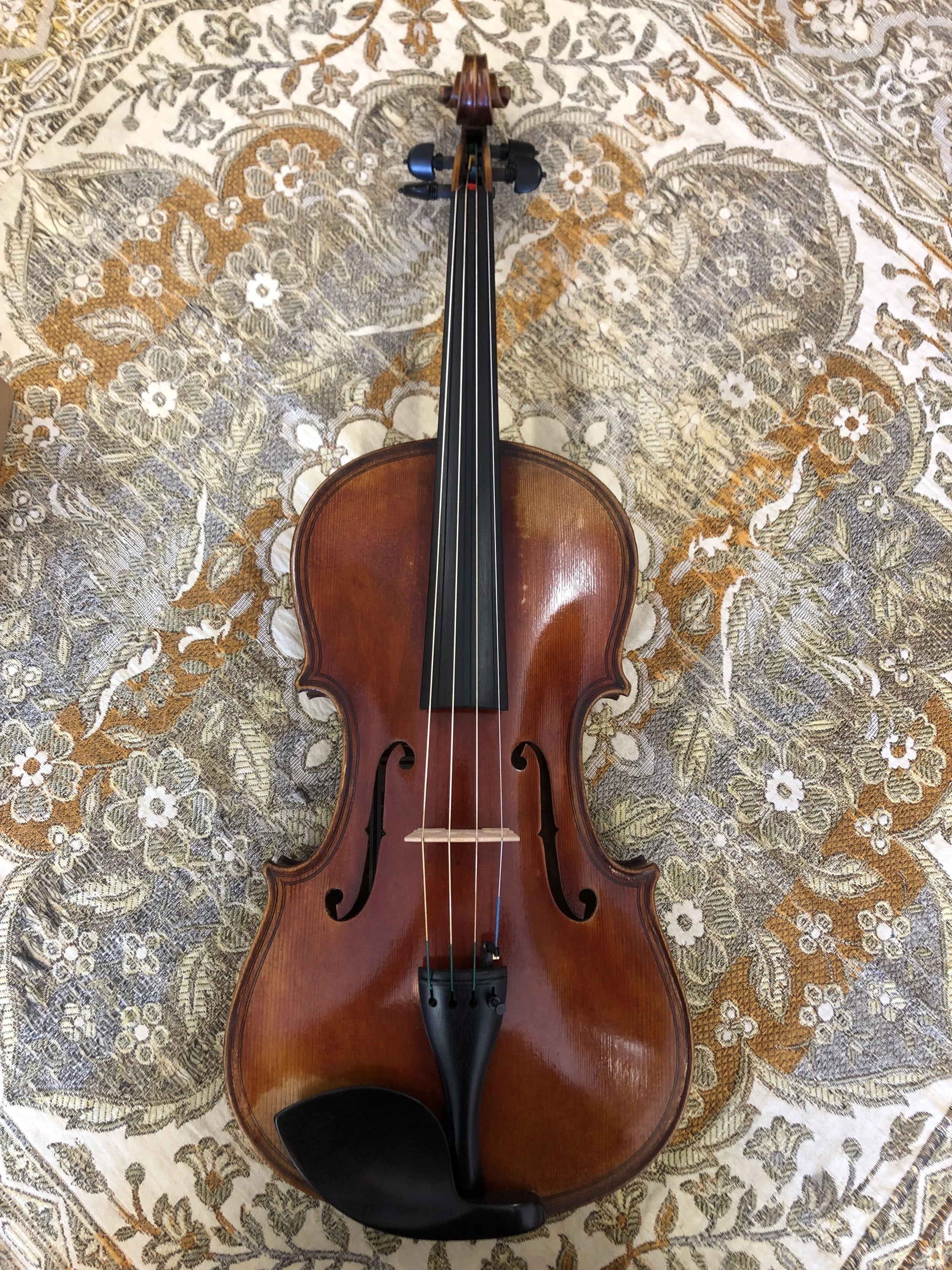 16 1/2" Jay Haide Maggini Model Viola