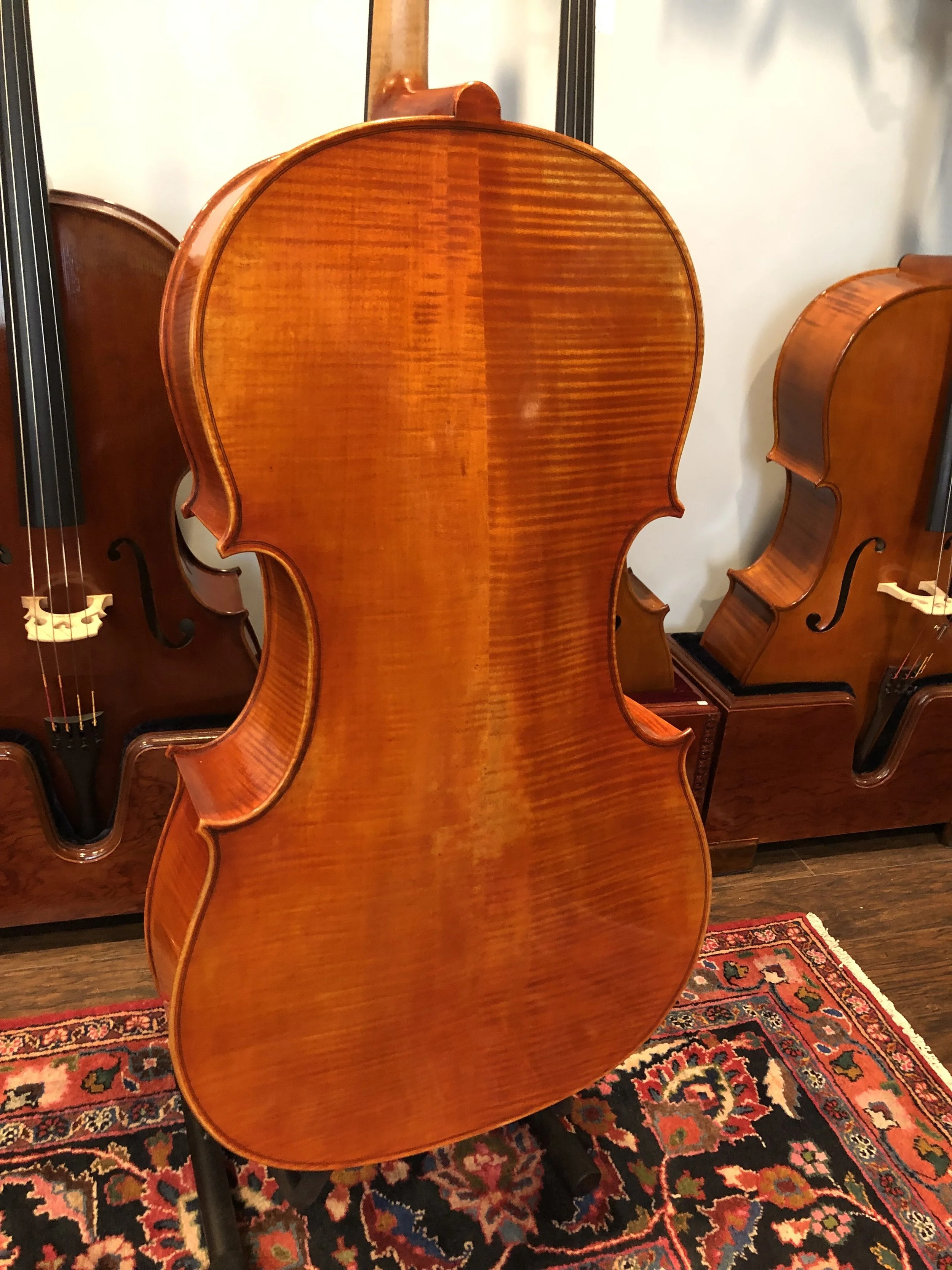 Tulsa Strings Violin Shop - Frederich Wyss 703 Cello Back Close.jpg