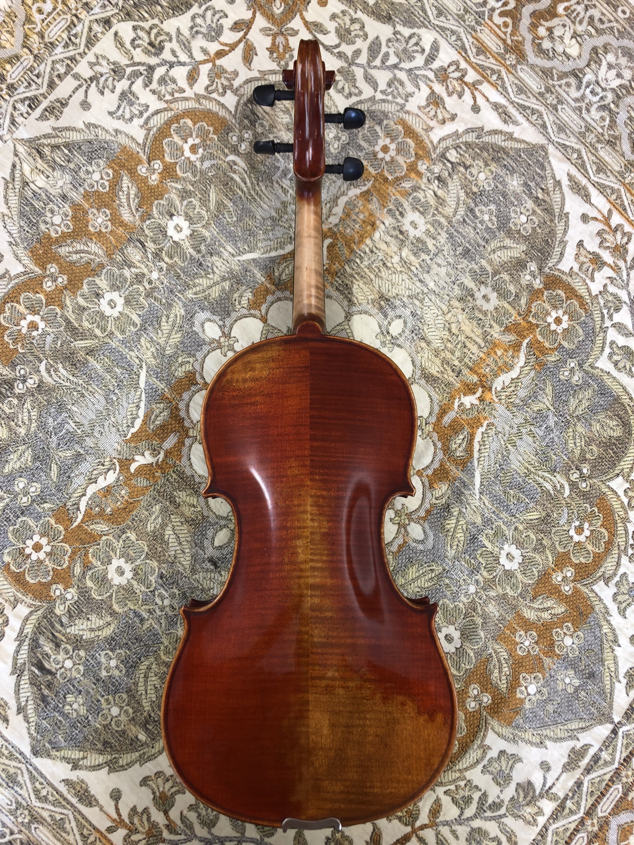 " Viola Back.jpg