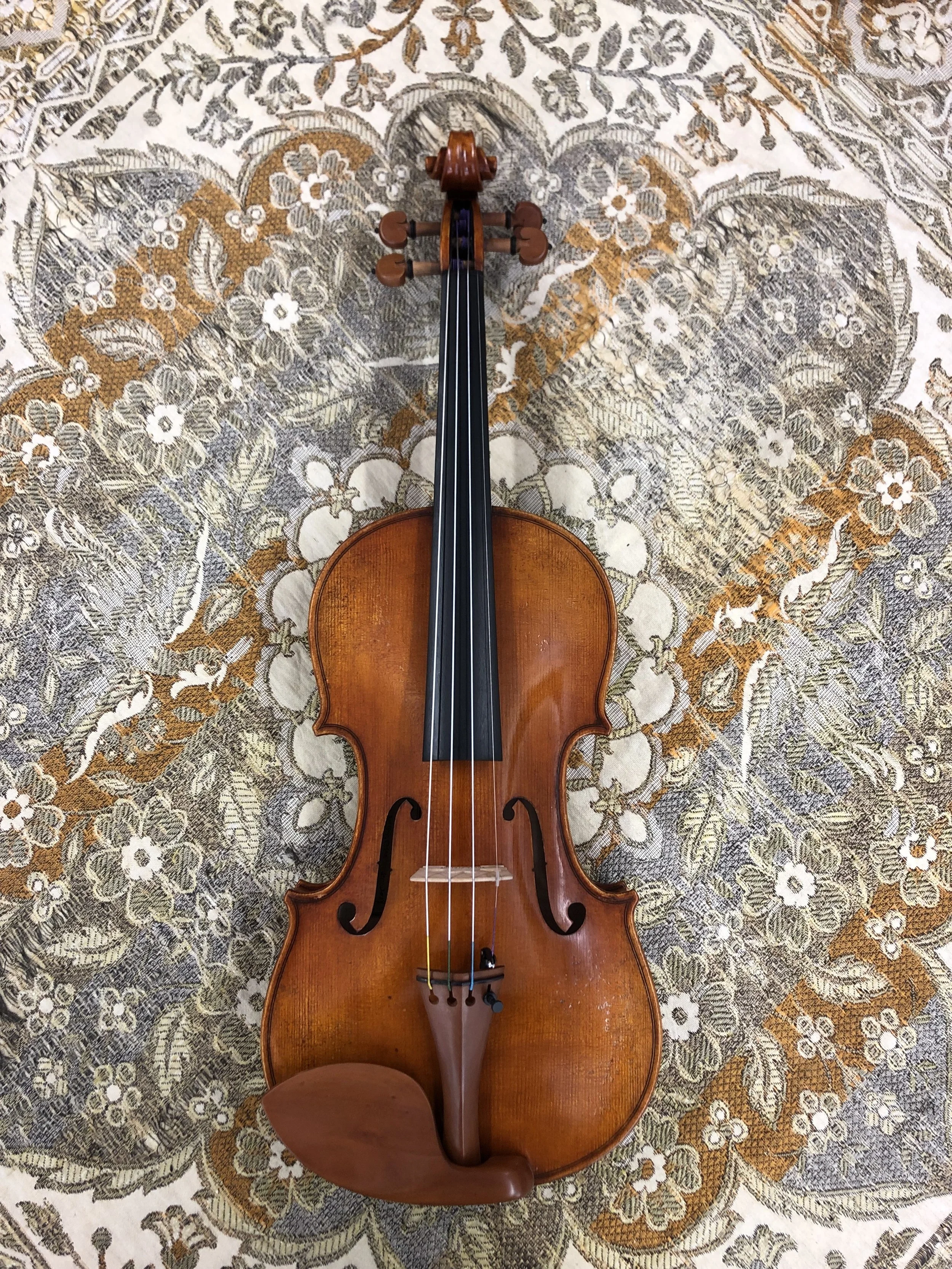 Tulsa Strings Violin Shop - Pietro Lombardi 502 Violin Top.jpg