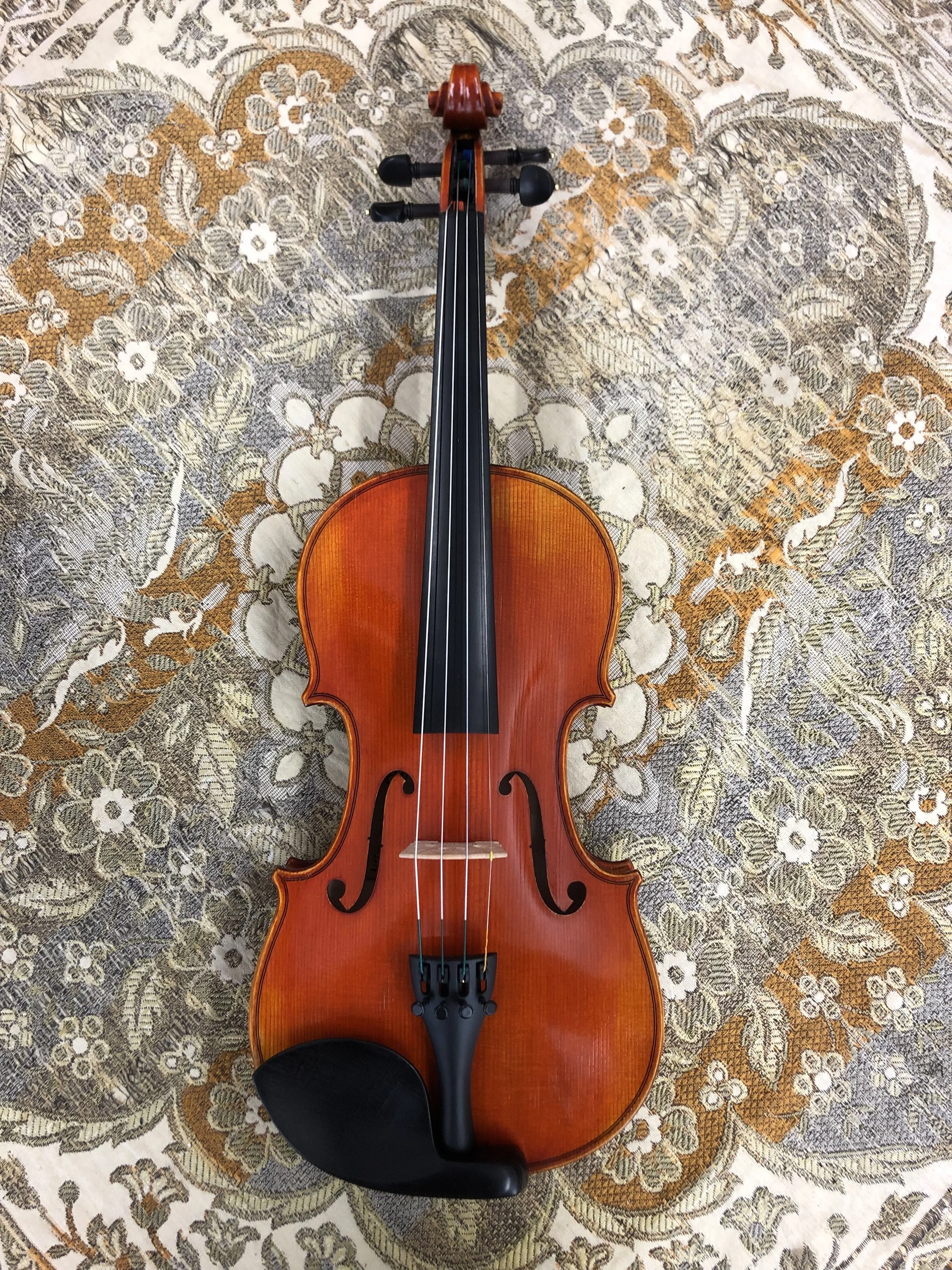 Tulsa Strings Violin Shop - Josef Regh 500 Violin Top.jpg