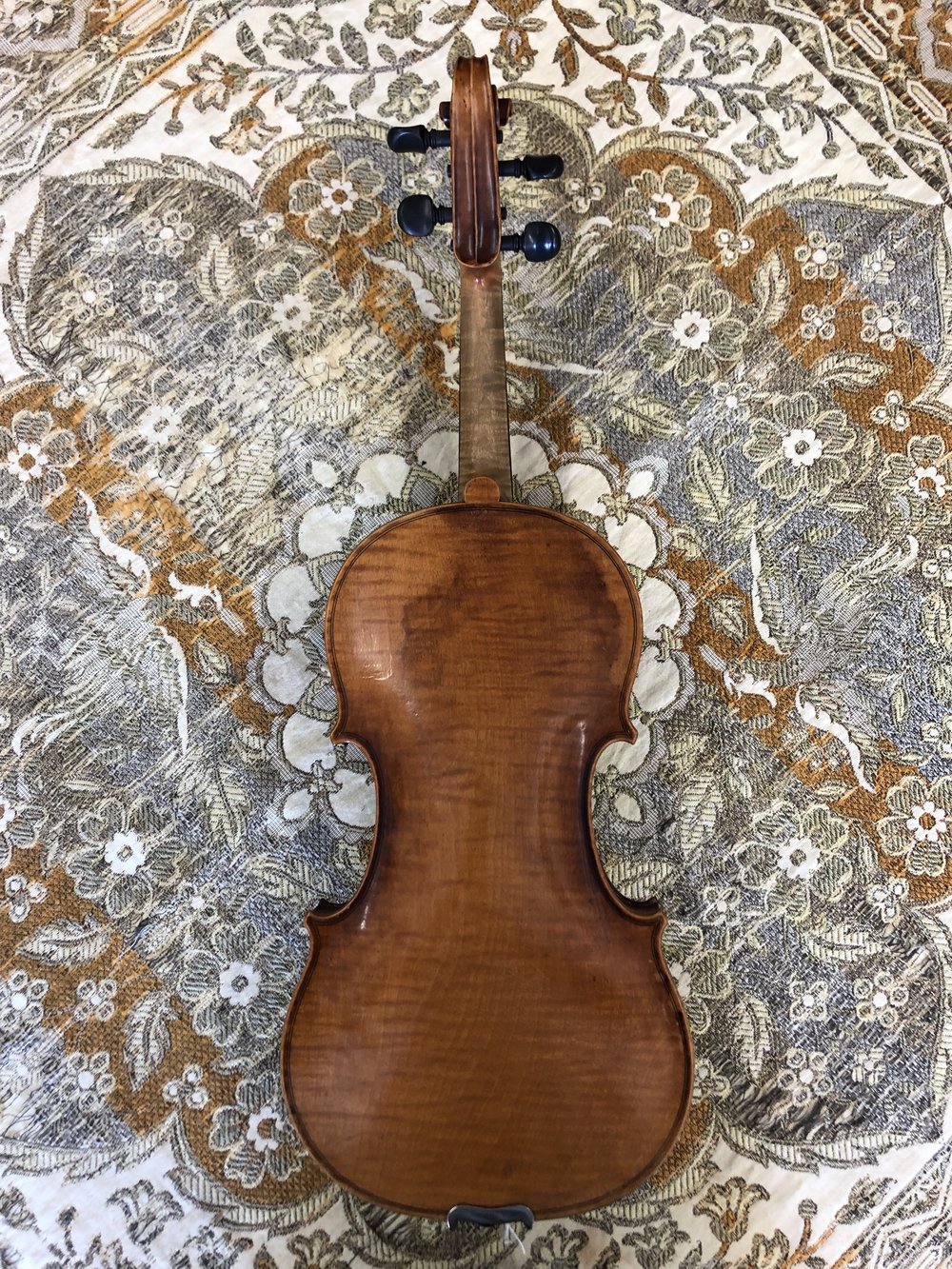 prototype Modtager gennemse Antonio Curatoli c. 1910 — Tulsa Strings Violin Shop