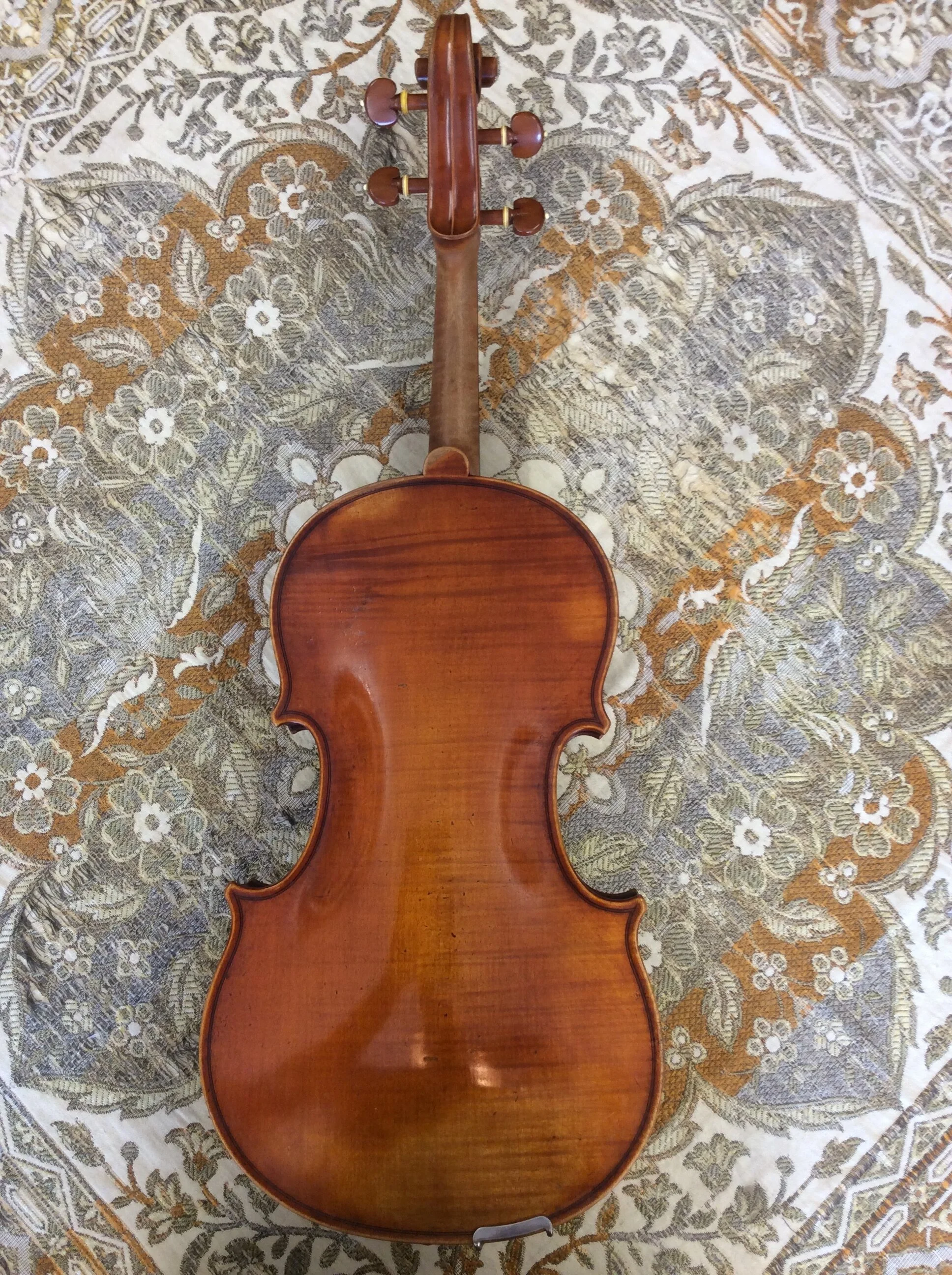 " Viola Back.JPG