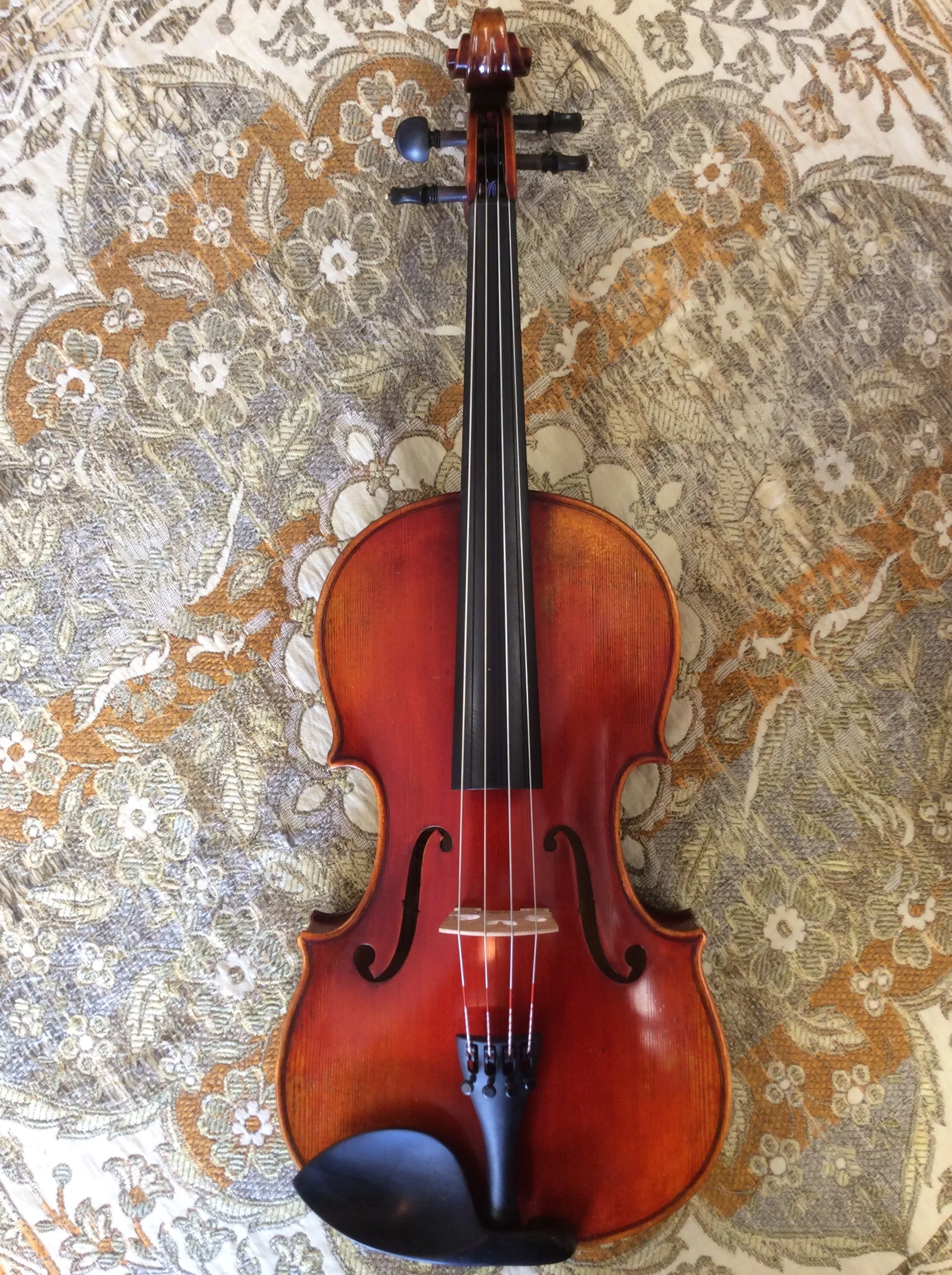 " Viola Front.jpg